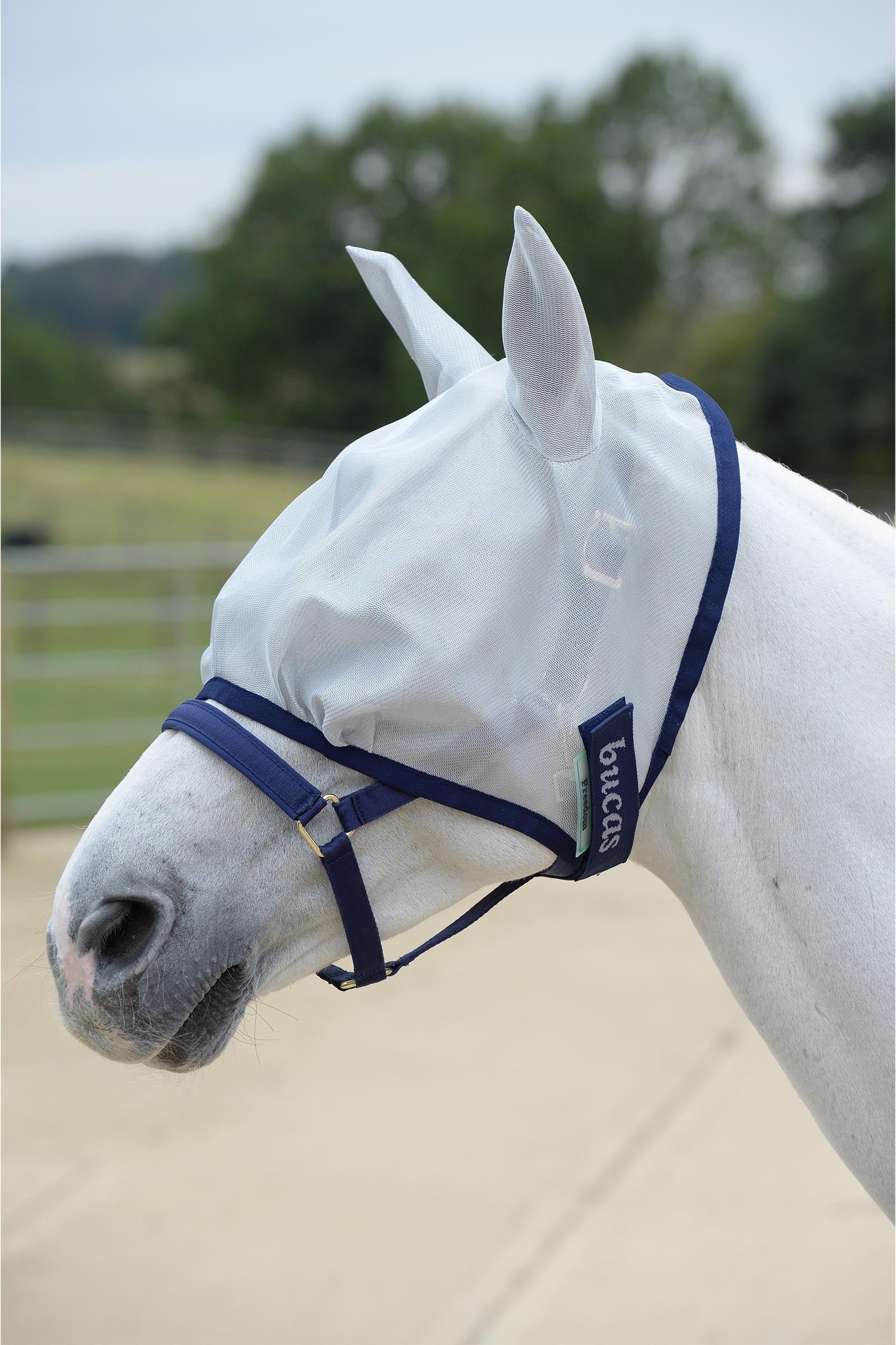 Bucas Freedom Fly Mask Antifly Protection for Horses