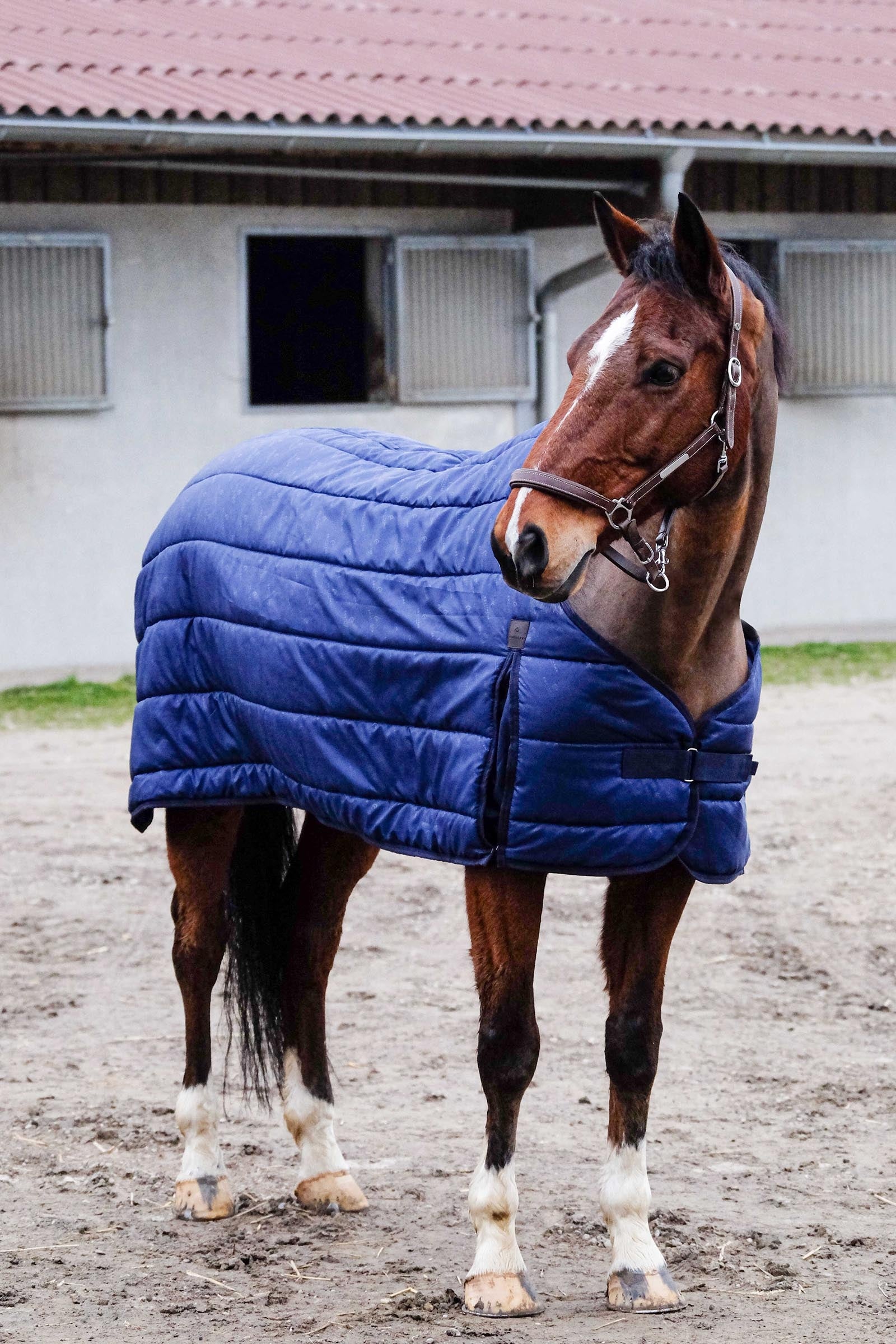 Equi Theme EQUITHÈME Classic Under Rug, 50 g Horse Rugs