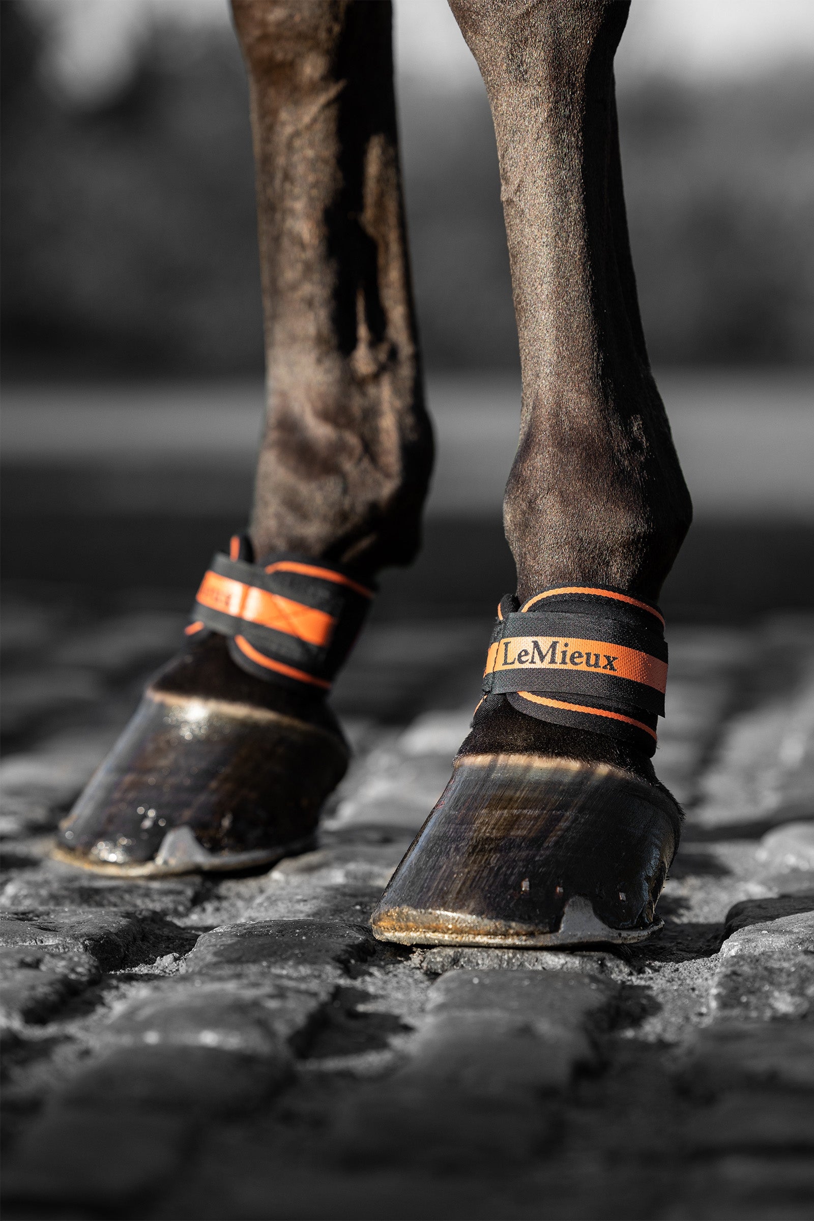 LeMieux Magno karledskydd