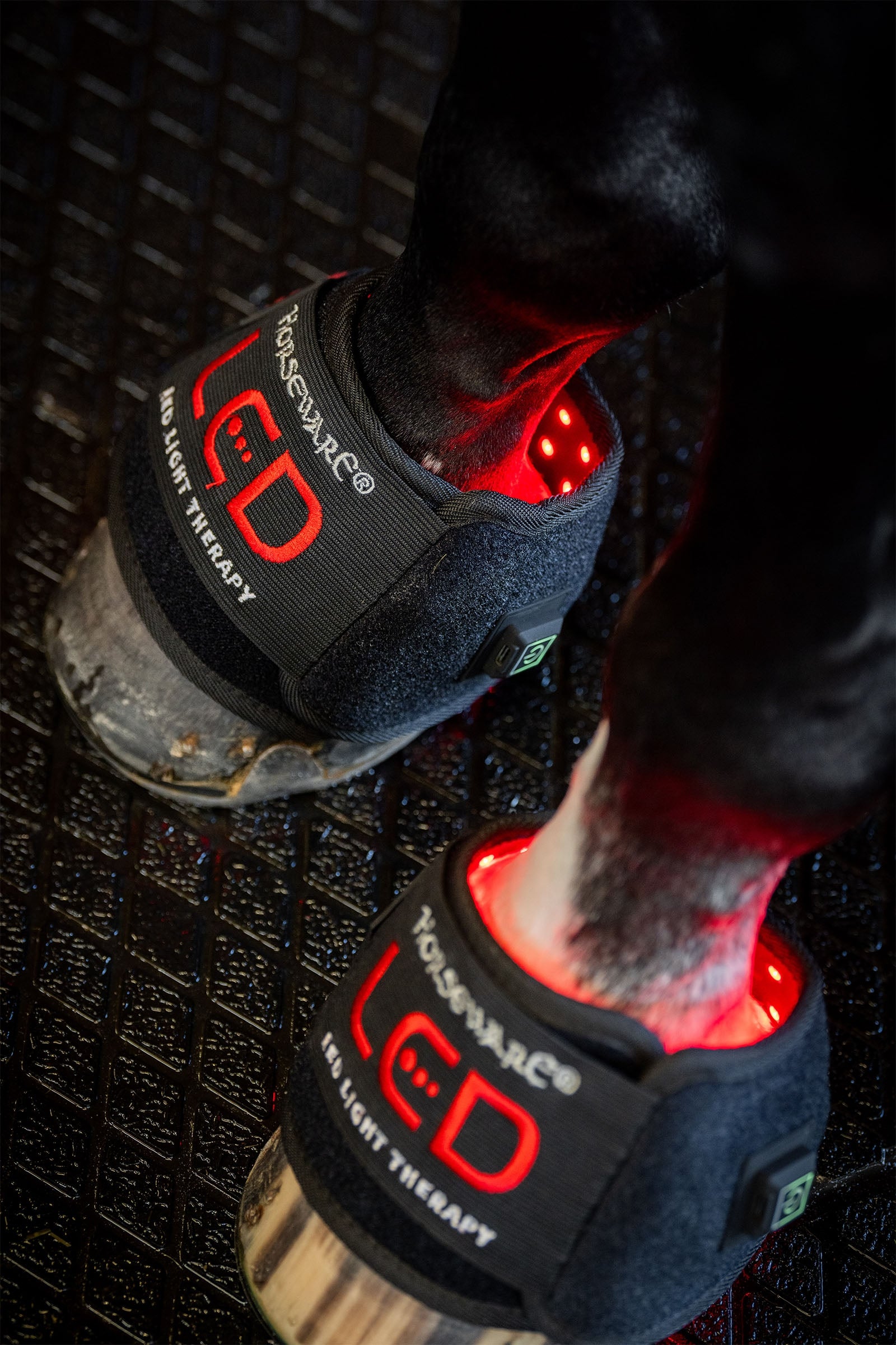 Horseware LED-rött ljusterapi mini benskydd (1 st.) Leg Protection & Hoof Protection for Horses