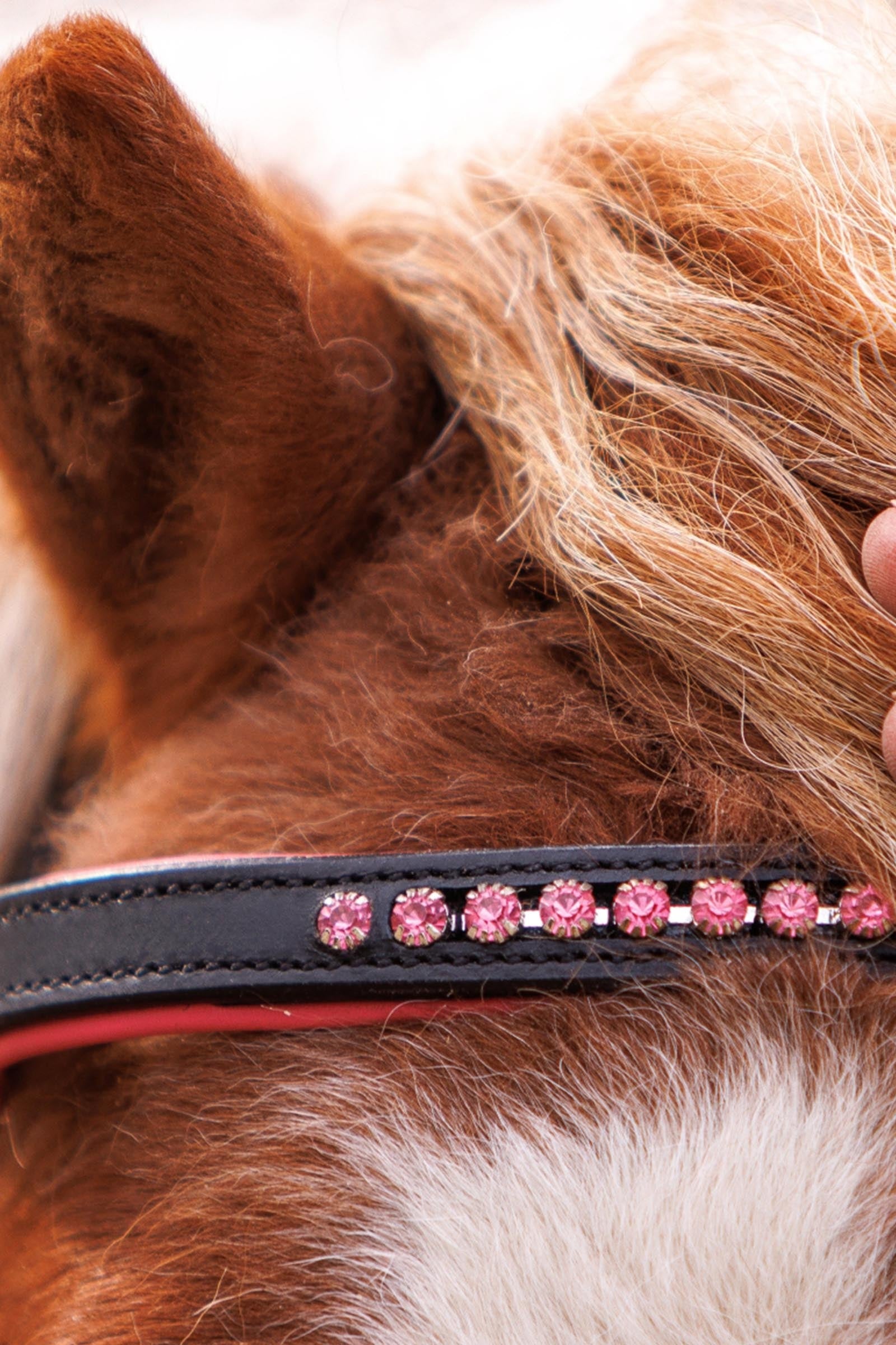 Lifestyle shot 2