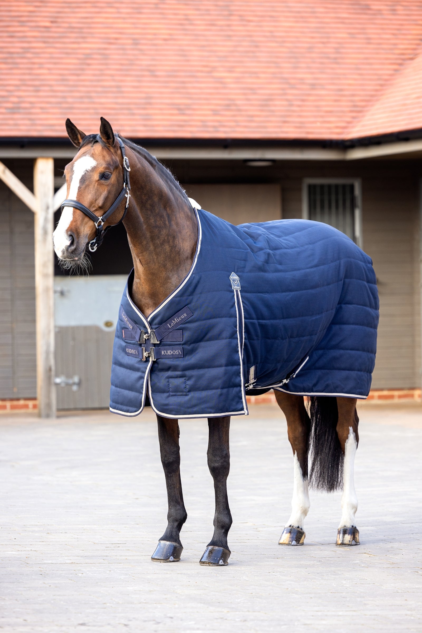 LeMieux Kudos Stable Rug, 100g Hästtäcken