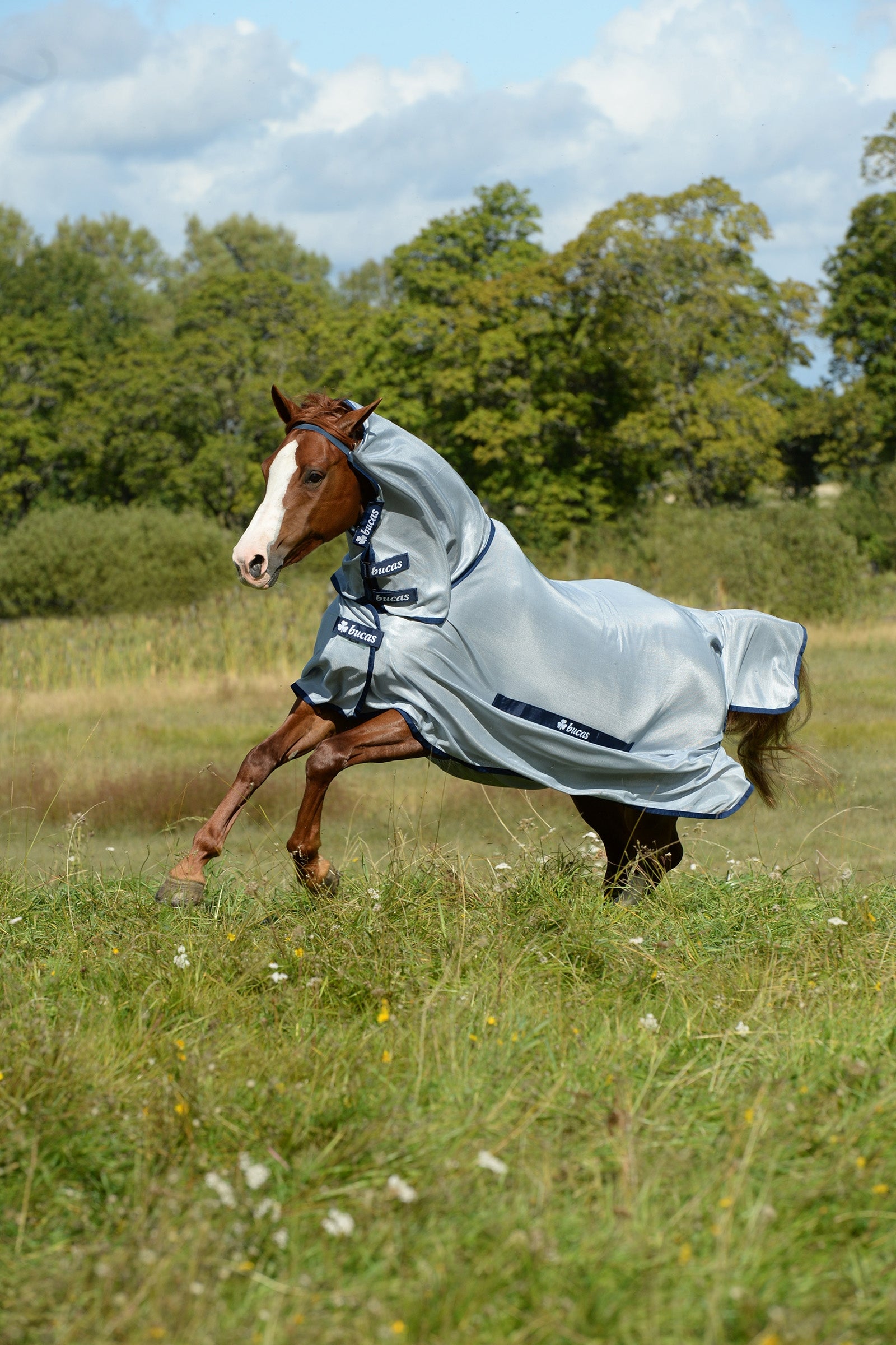 Bucas Buzz-Off Full Neck Fly Rug Pony with fixed Neck Horse Rugs