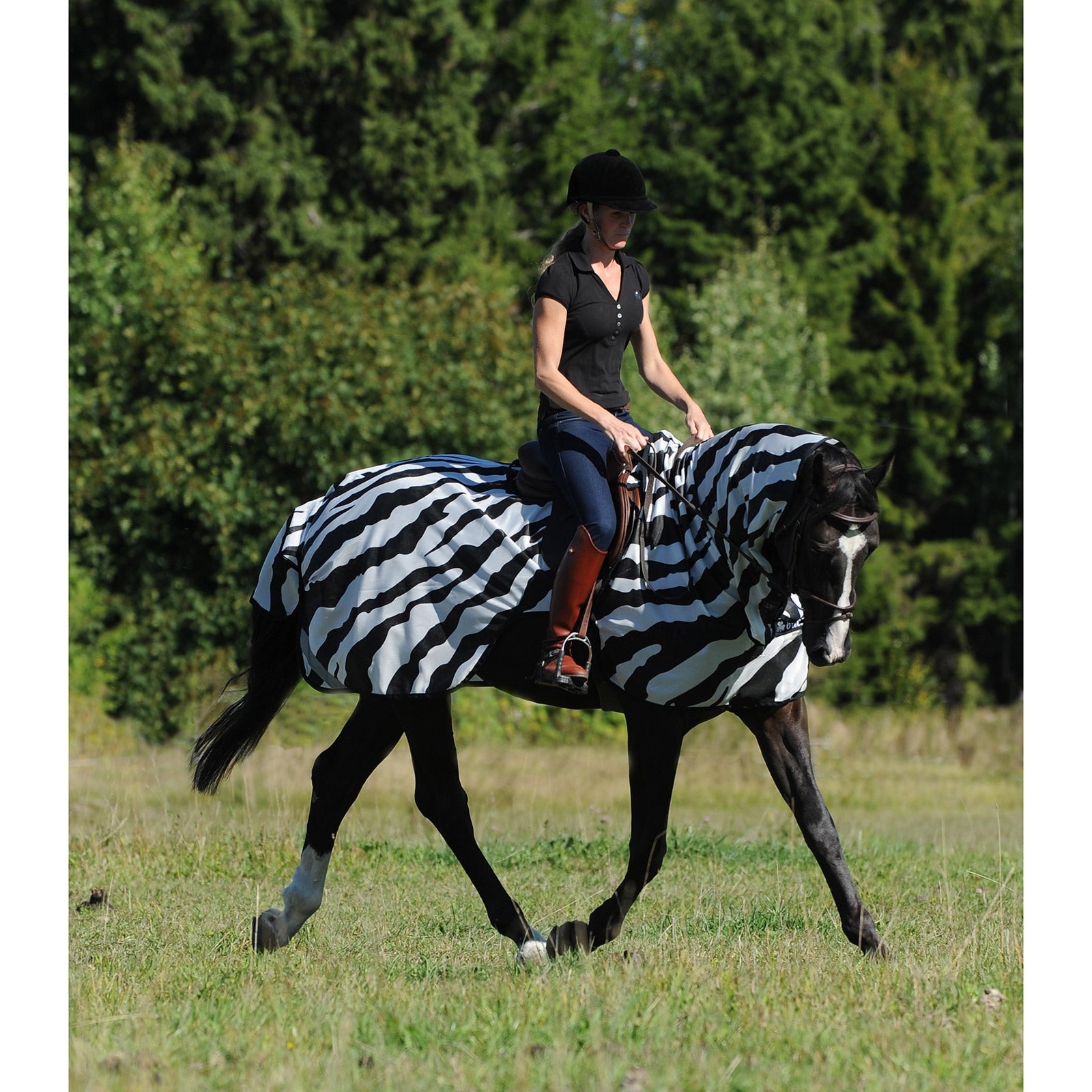 Bucas Buzz-Off Riding Zebra täcke Hästtäcken