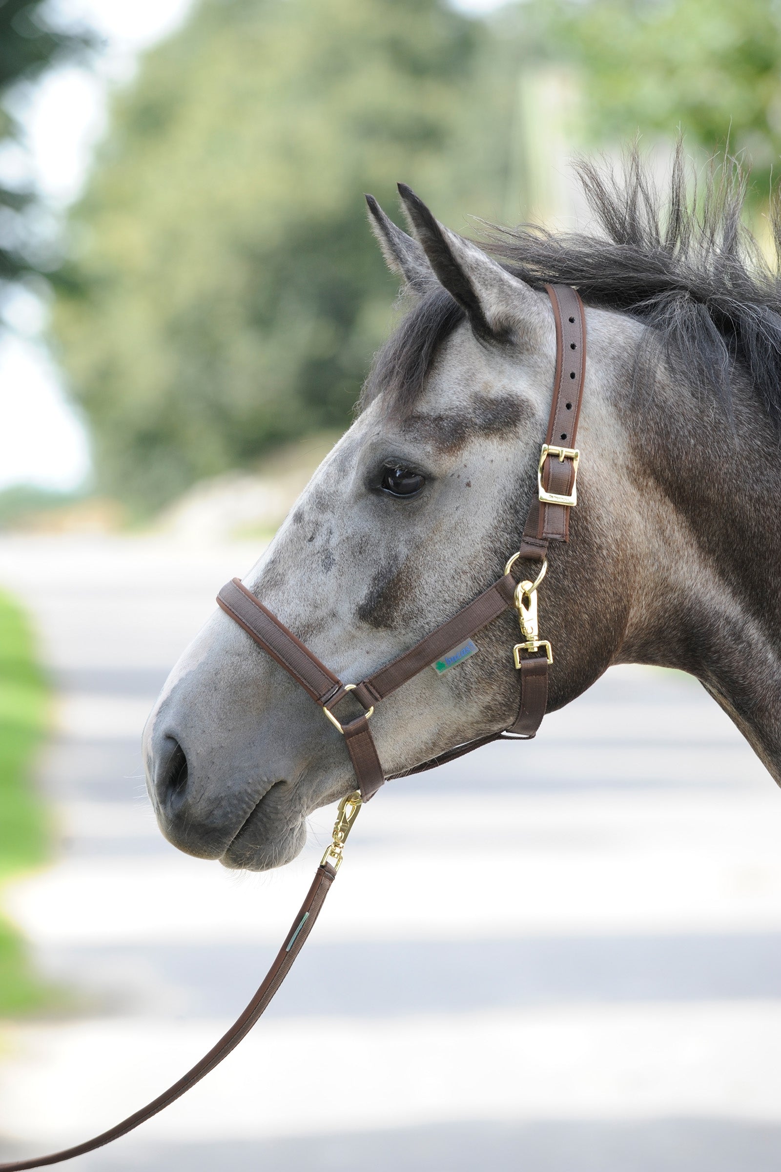 Bucas Dublin Luxury vadderade grimma Grimma & grimskaft