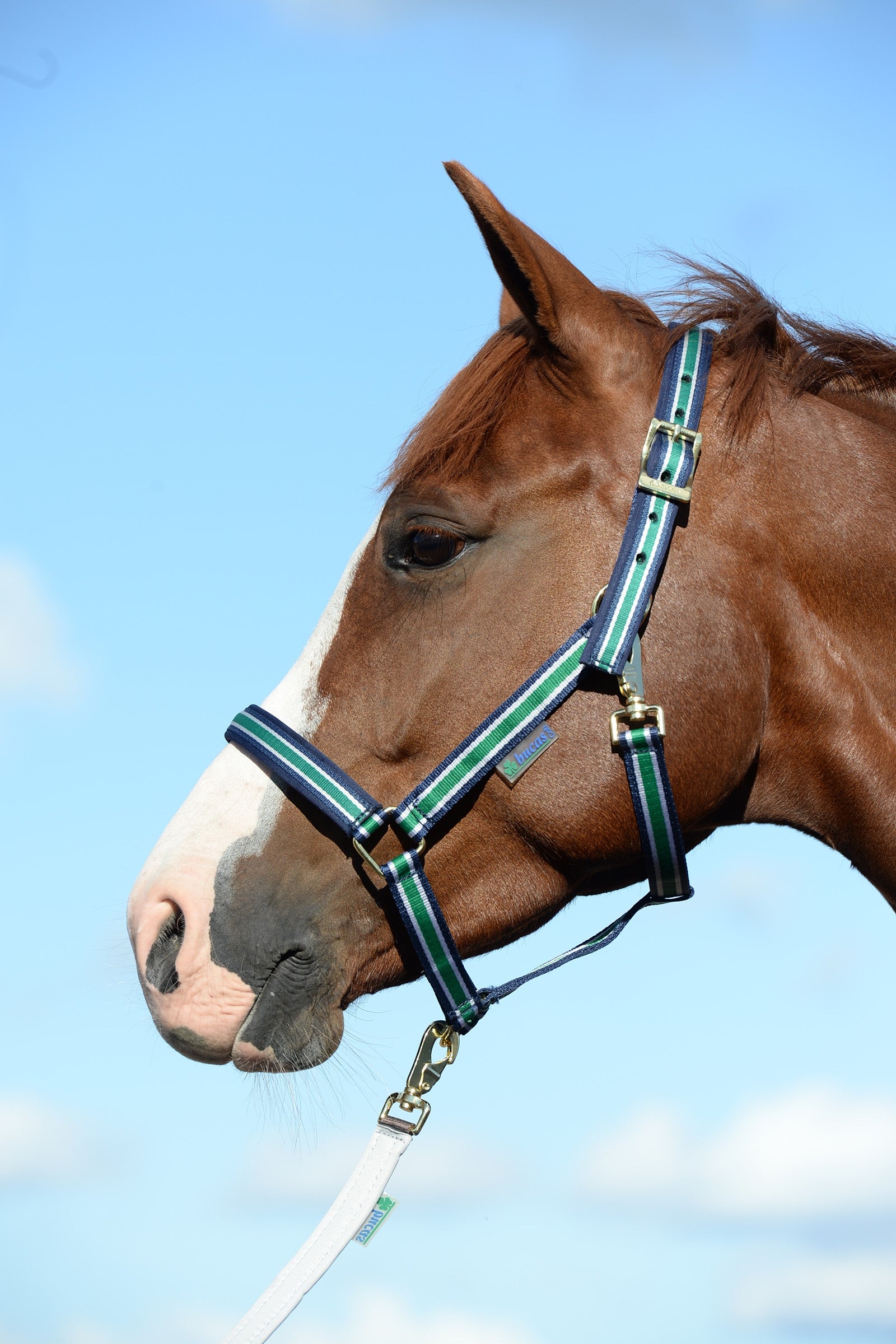 Bucas Dublin Luxury vadderade grimma Grimma & grimskaft