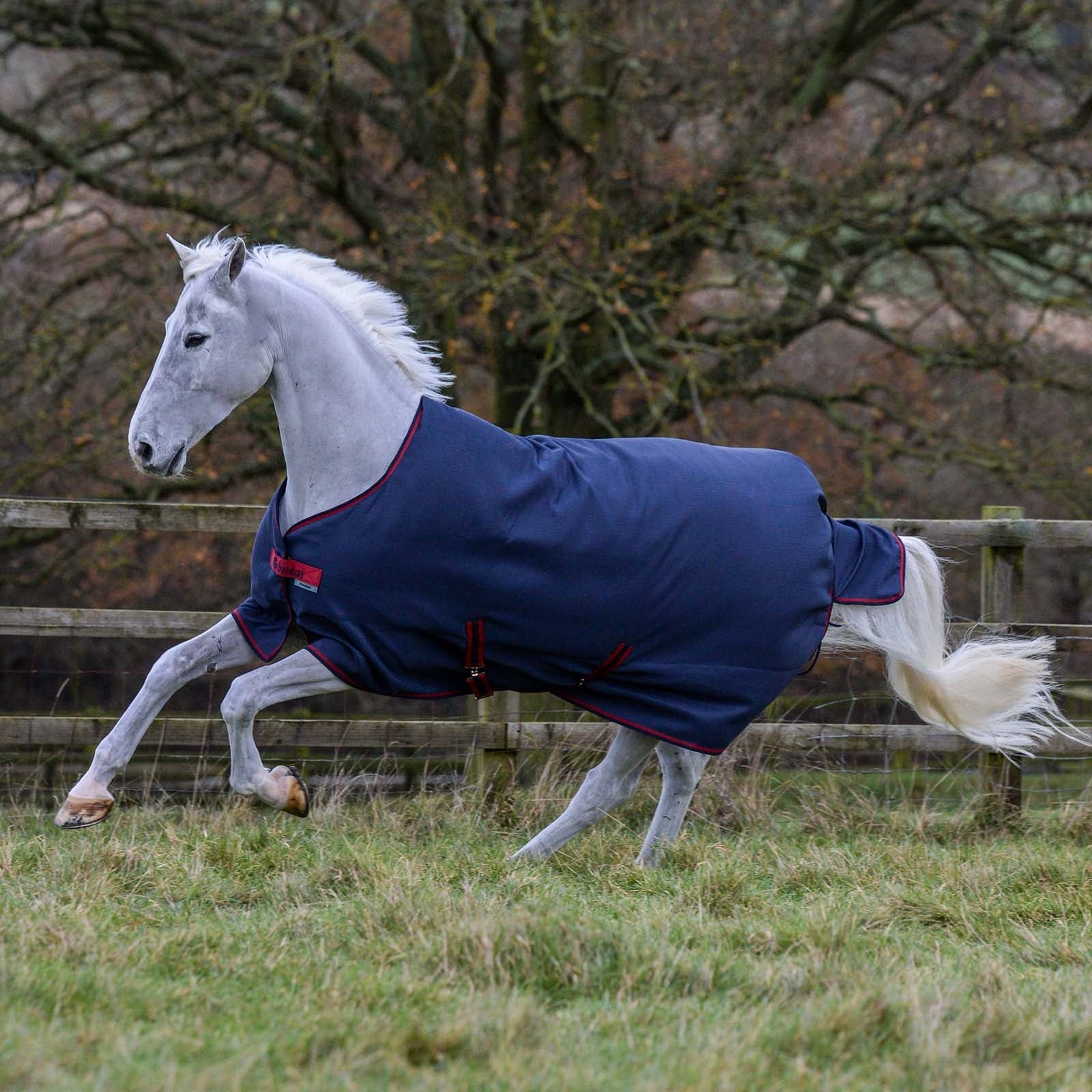 Bucas Freedom Light Turnout Rug, 0g Horse Rugs