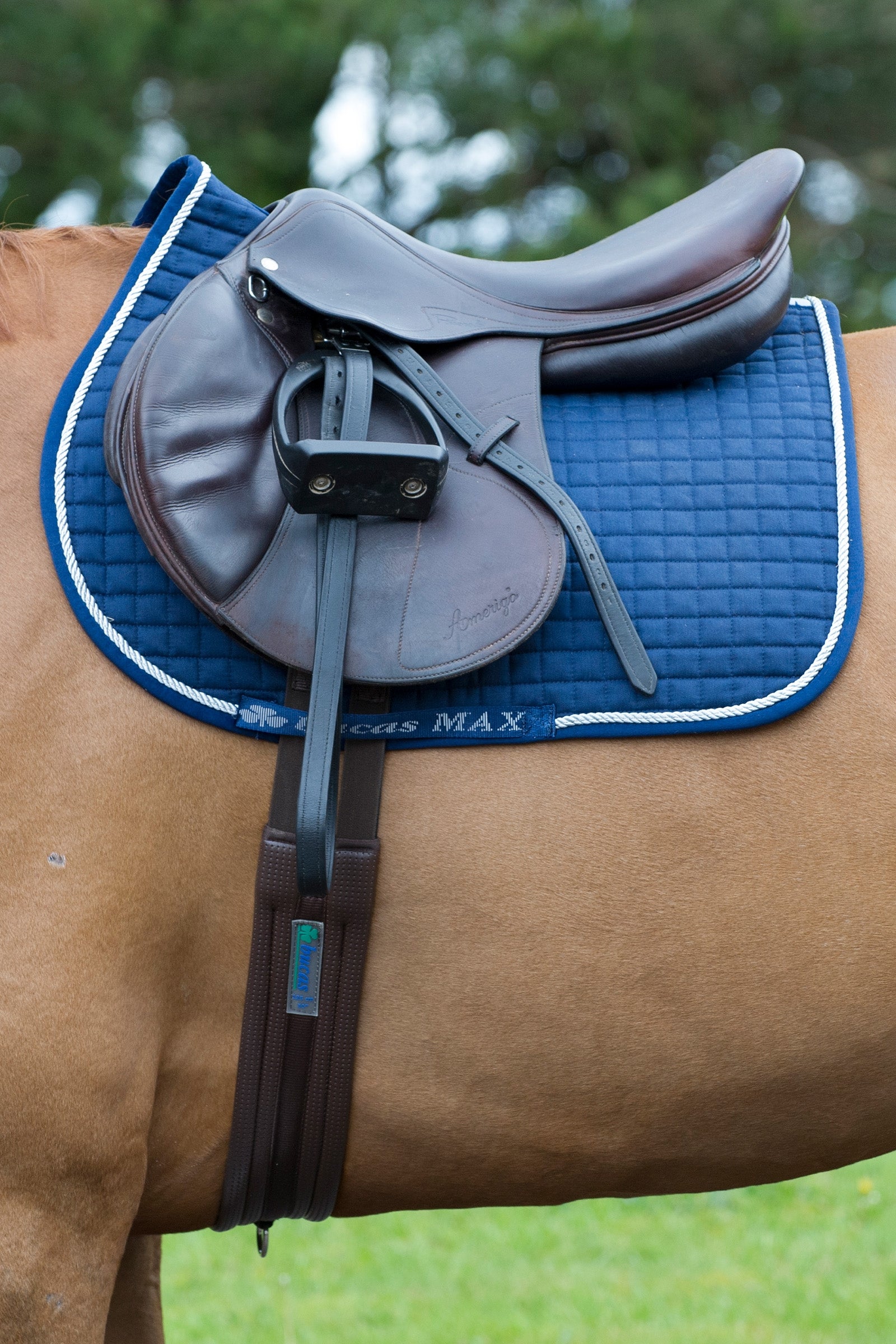 Bucas Max schabrak hoppning/allround Schabrak