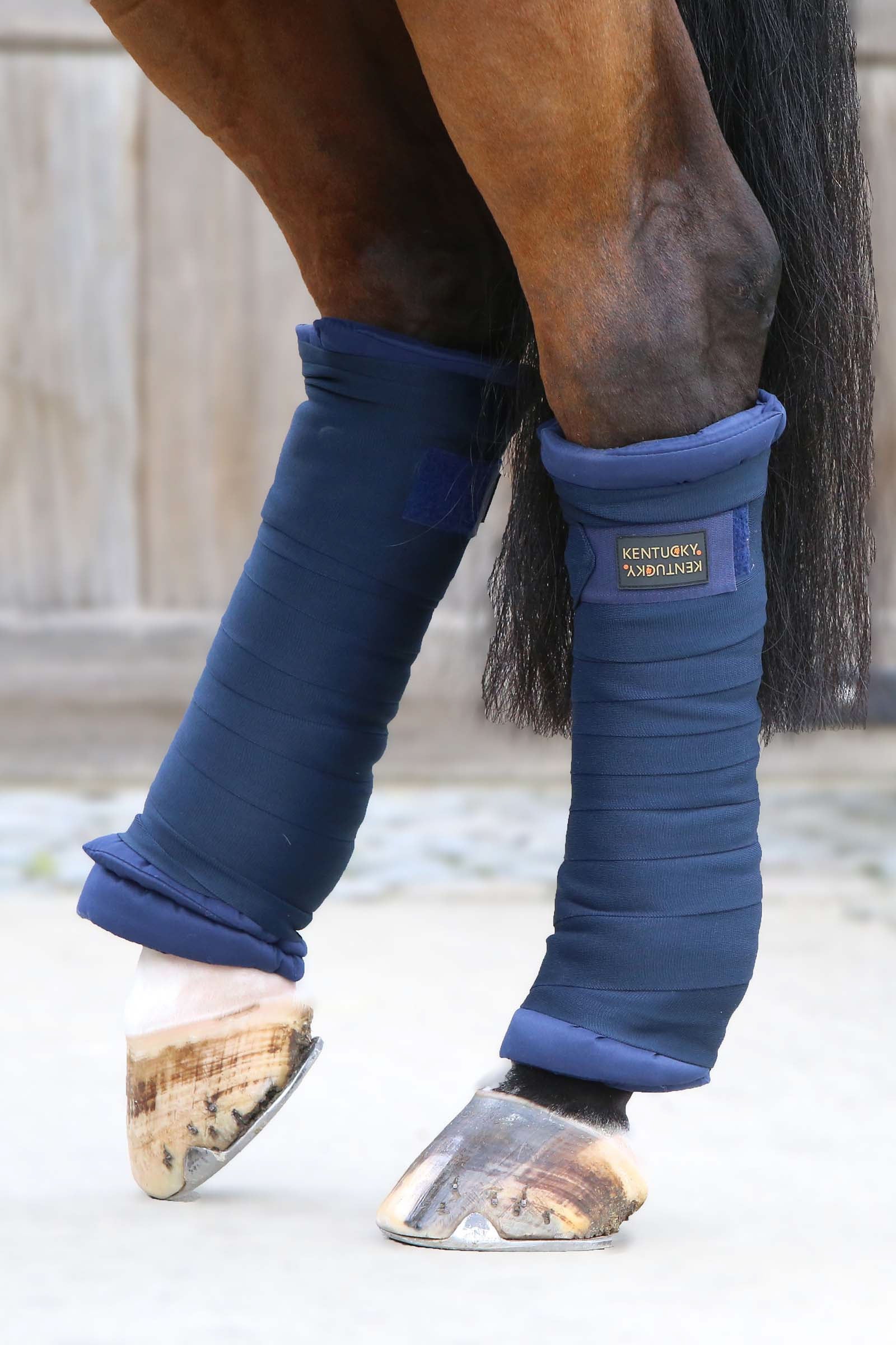 Kentucky Horsewear Stable bandage pad, set of 4 Leg Protection & Hoof Protection for Horses