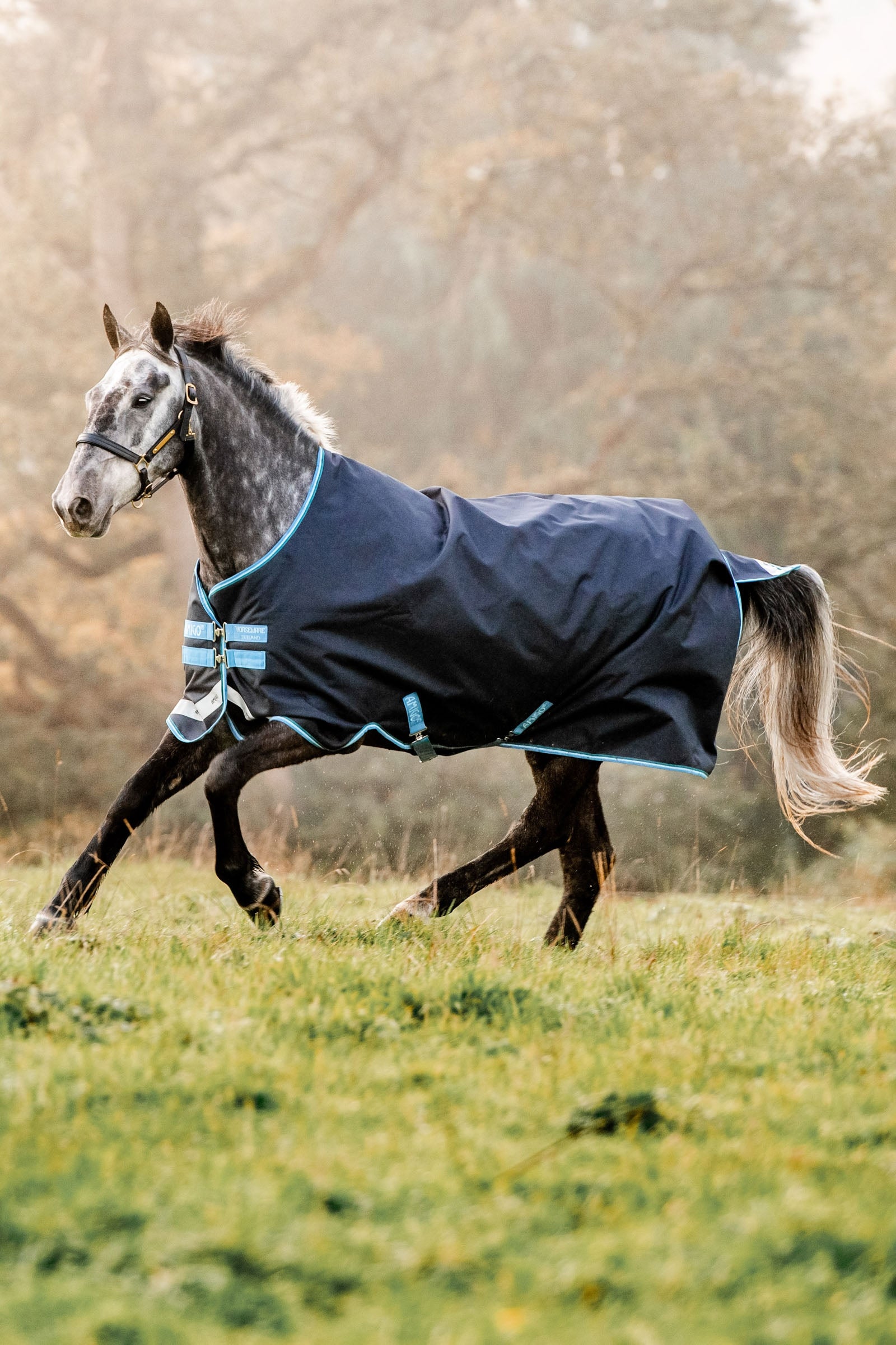 Horseware Amigo Bravo 12 utetäcke, 100g Hästtäcken