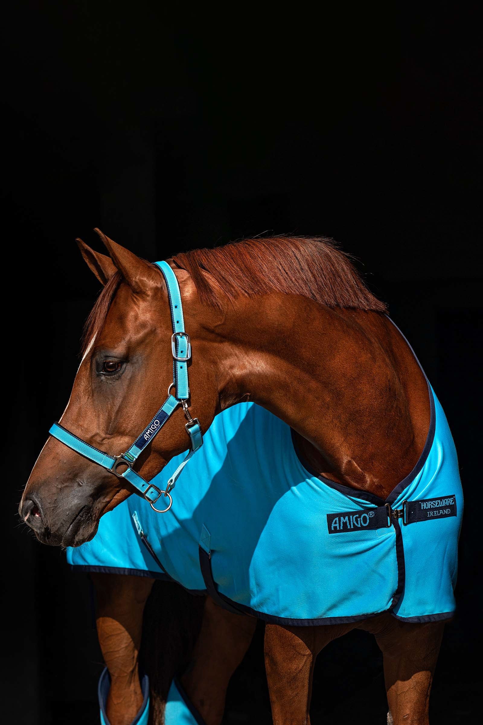 Horseware Amigo grimma Grimma & grimskaft