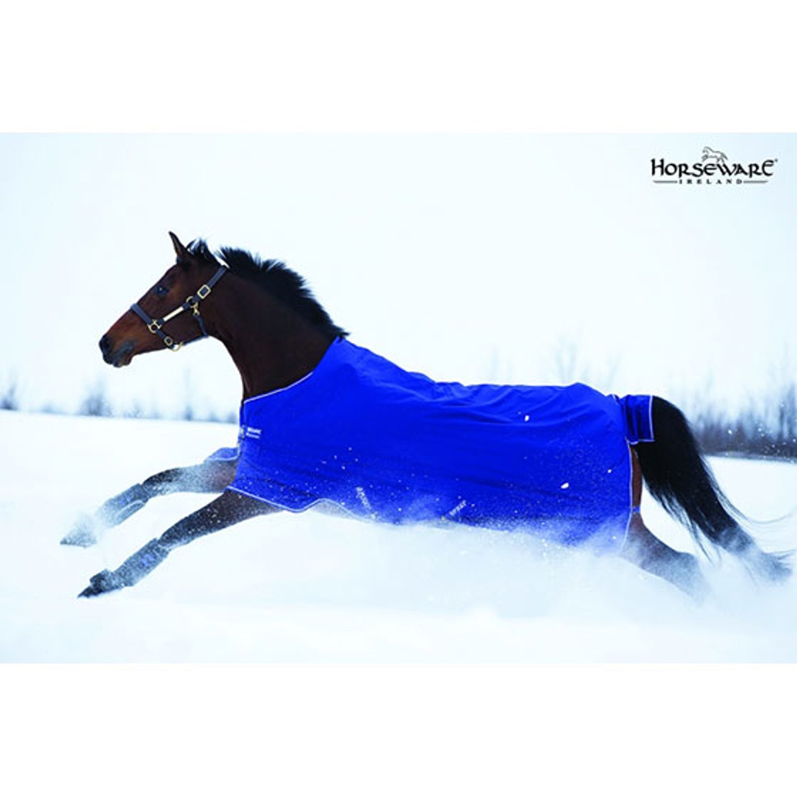 Horseware Amigo Hero-6 Lite, 0g Hästtäcken