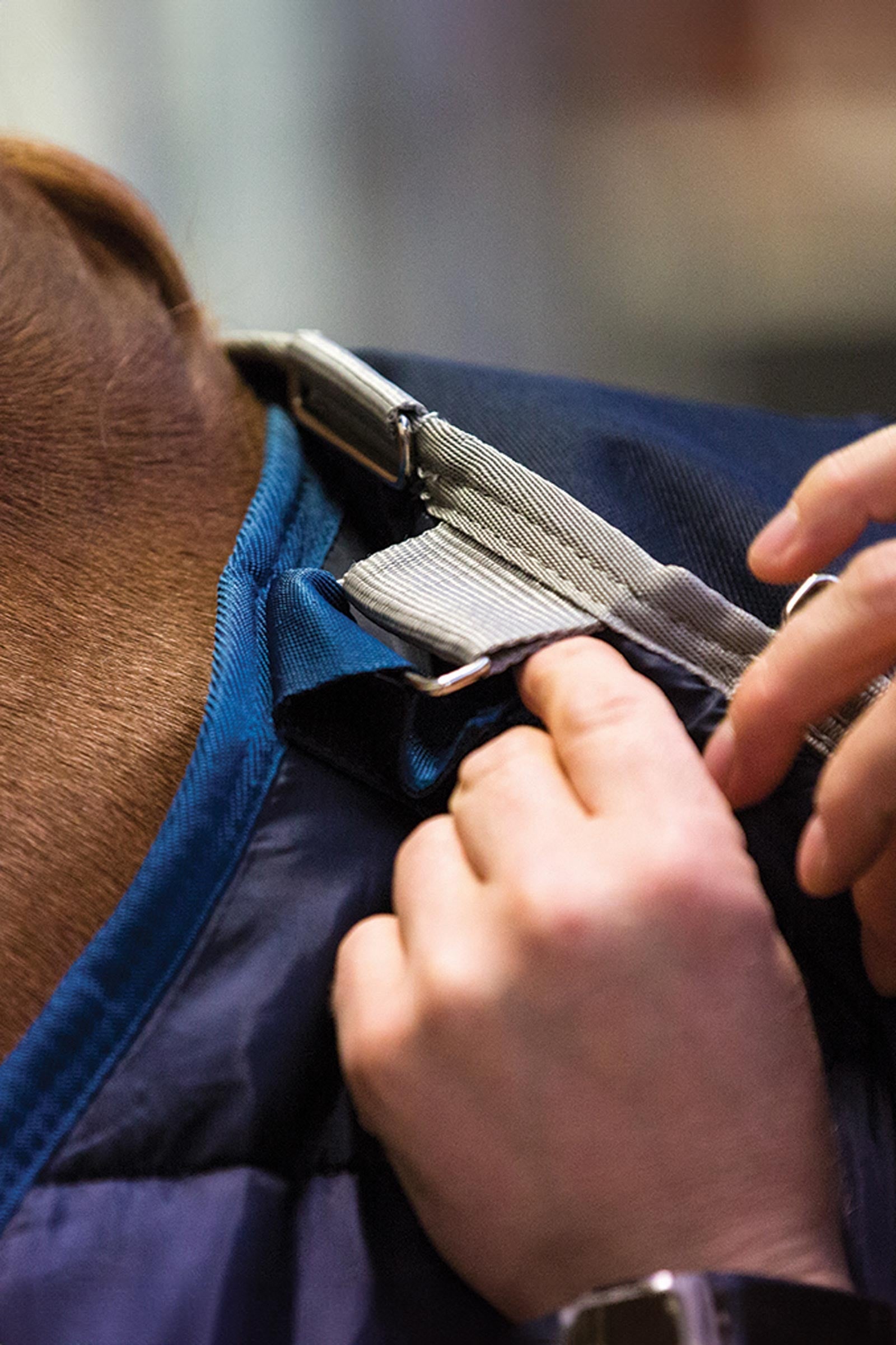 Horseware Liner, 200 g Horse Rugs