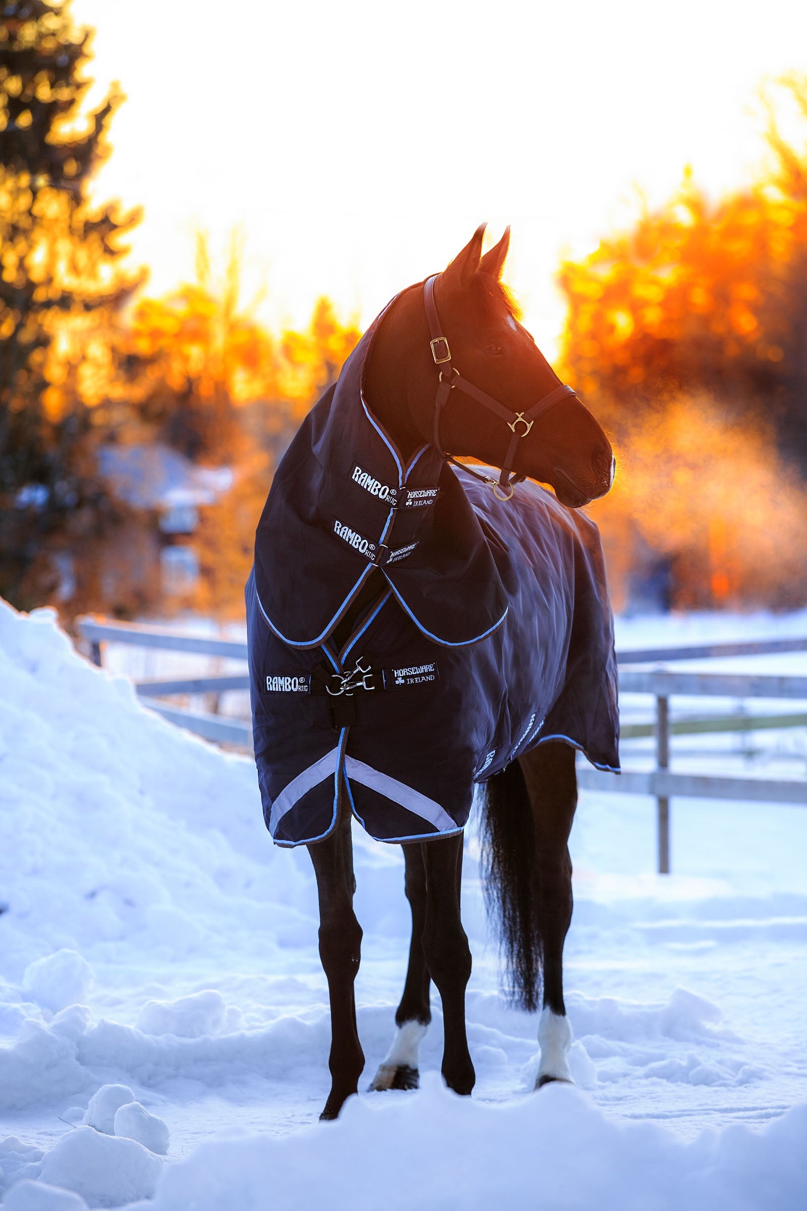 Horseware Rambo Duo täcke, 400g Hästtäcken