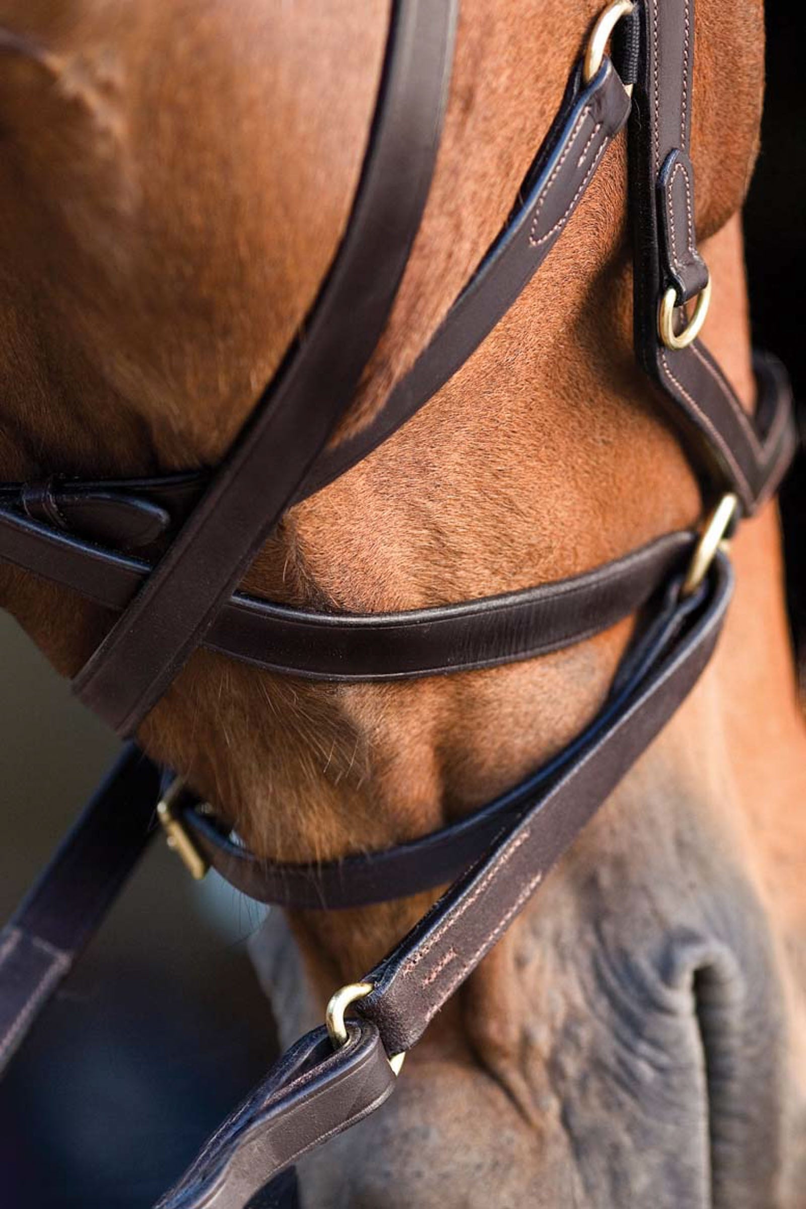 Horseware Rambo Micklem Multi Bridle Bridles & Reins