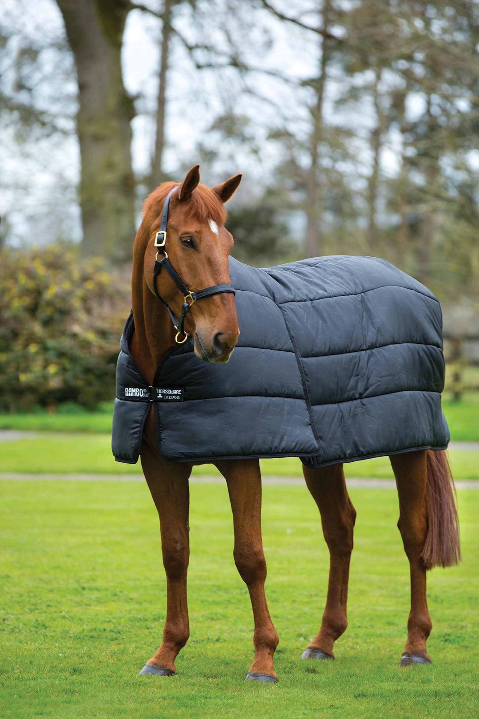 Horseware Rambo Optimo Liner 200 g Hästtäcken
