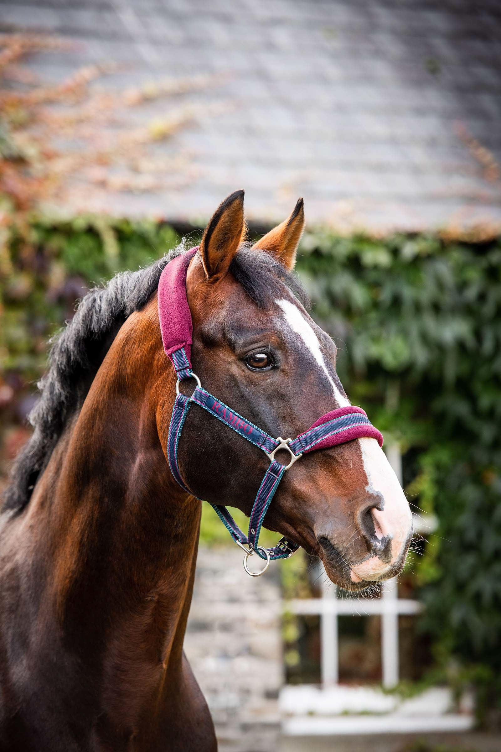 Horseware Rambo vadderad grimma Grimma & grimskaft