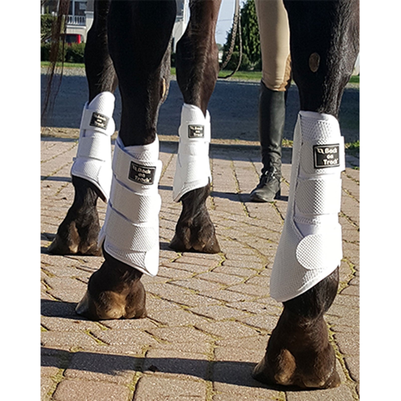 Back on Track strykkappor, 3D-nät, L-XL Leg Protection & Hoof Protection for Horses