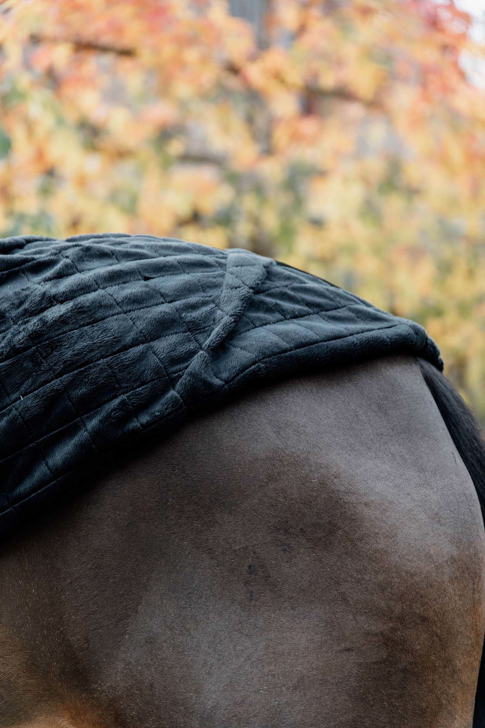 Kentucky Horsewear Stable Rug, 0g Horse Rugs