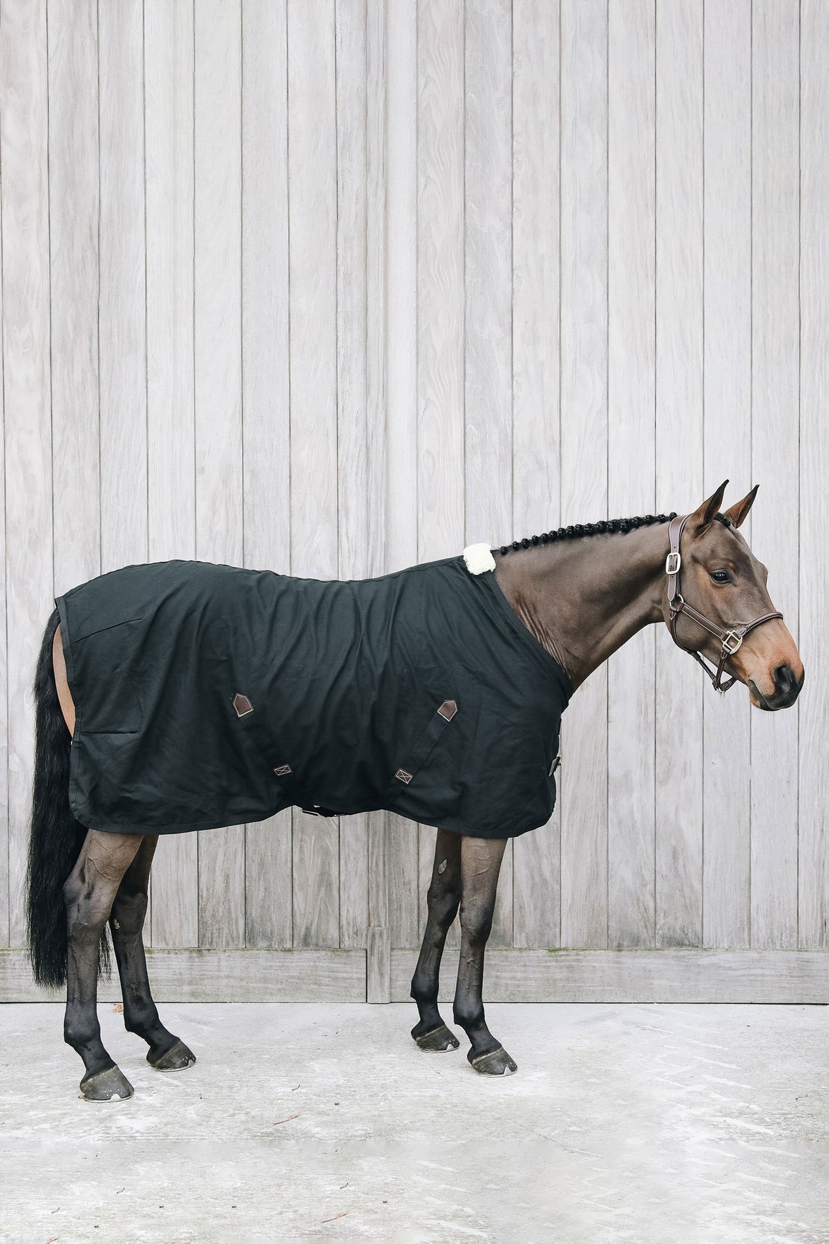 Kentucky Horsewear bomullstäcke Hästtäcken