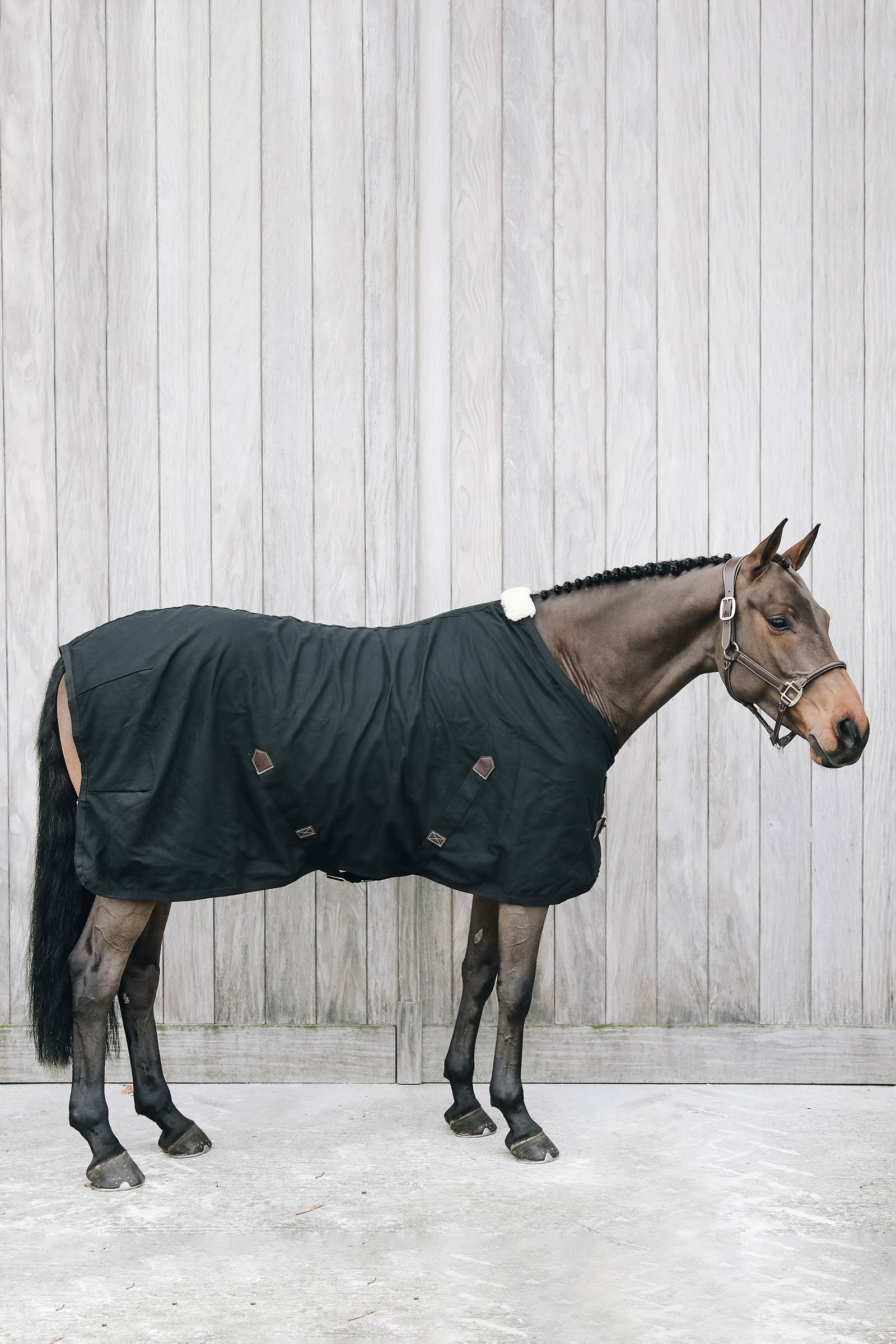 Kentucky Horsewear Cotton Cooler Horse Rugs