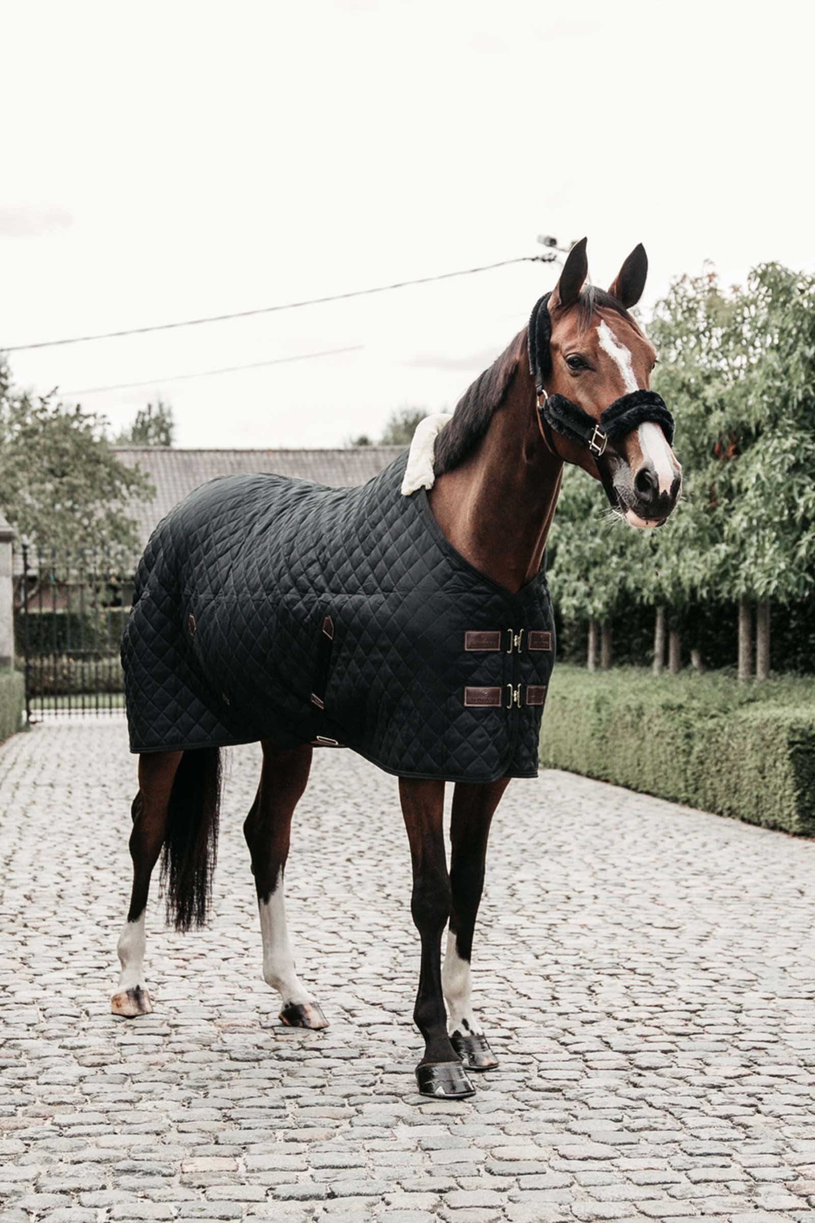 Kentucky Horsewear Stable Rug, 400g Horse Rugs