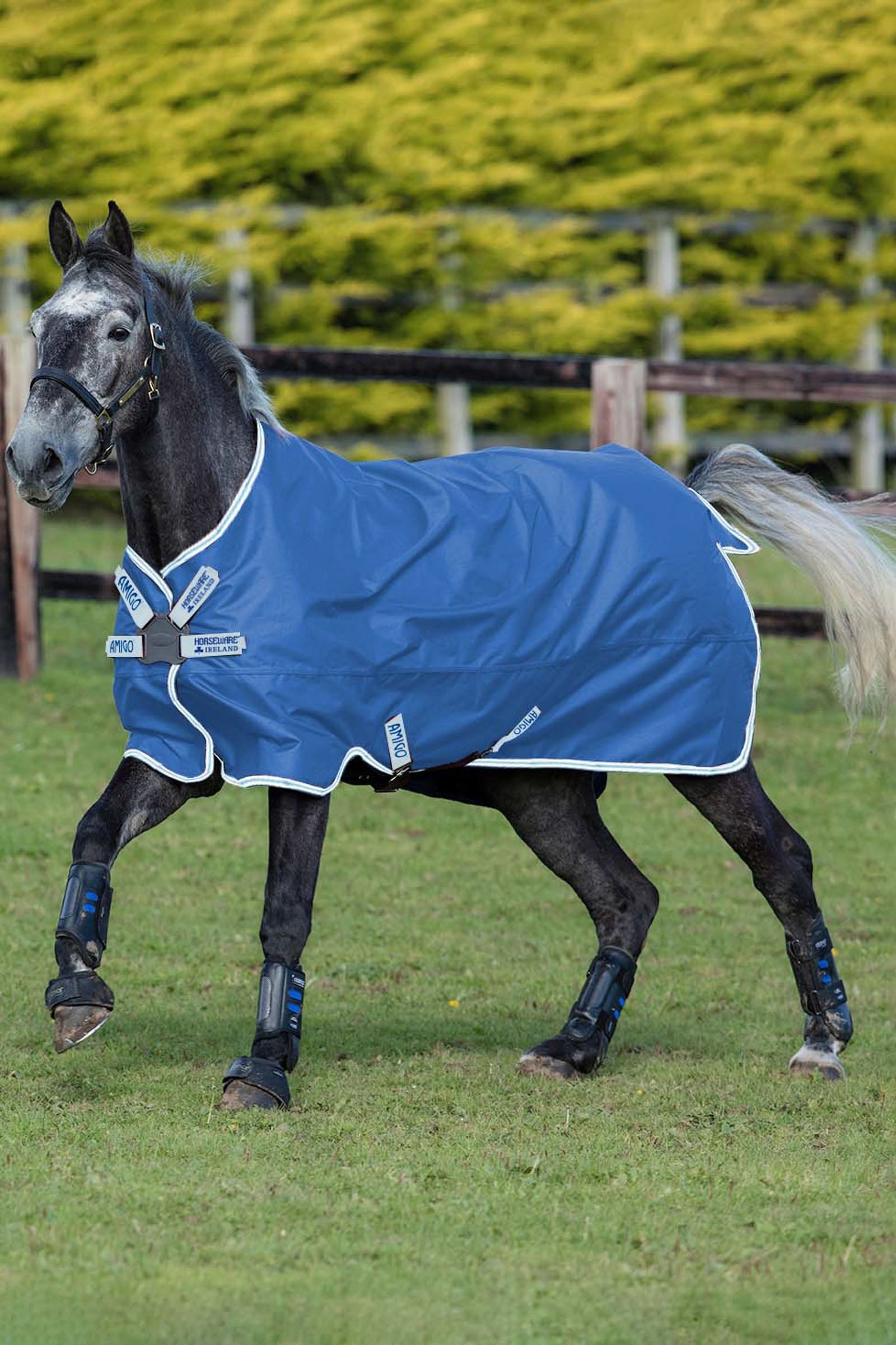 Horseware Amigo Hero 900 Disc Turnout Rug, 50g Horse Rugs