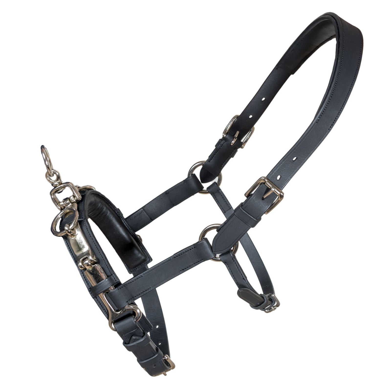 Karlslund Fengur kapson Träning & longering