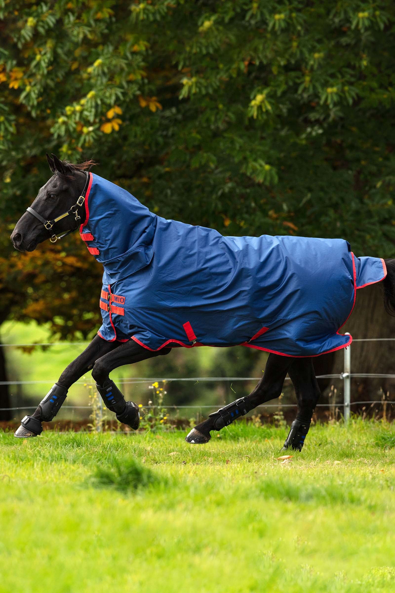 Horseware Mio one Piece Turnout Rug with Fixed Neck, 350g Horse Rugs