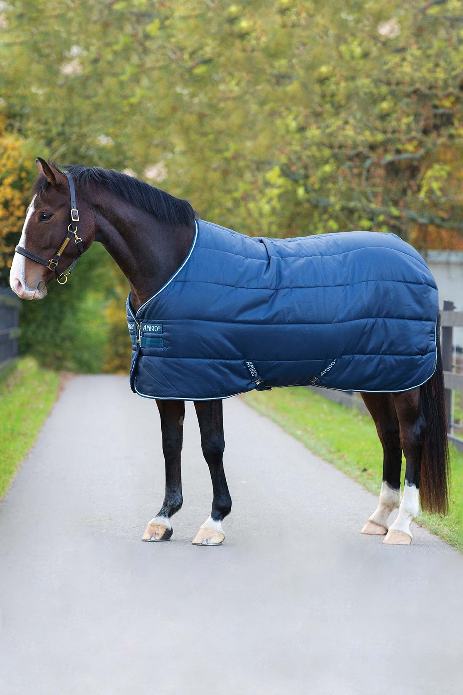 Horseware Amigo Insulator Stable Rug, 100g Horse Rugs