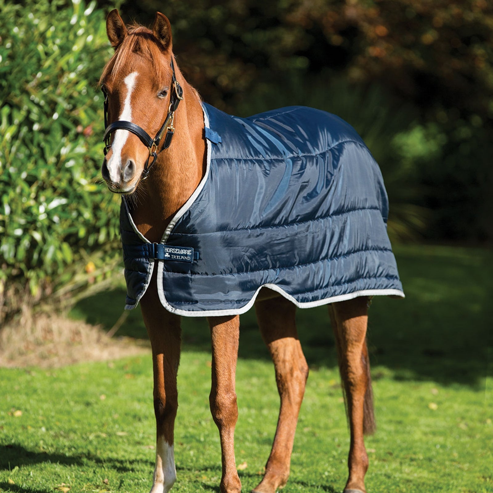 Horseware HW Pony Liner 100 g Hästtäcken