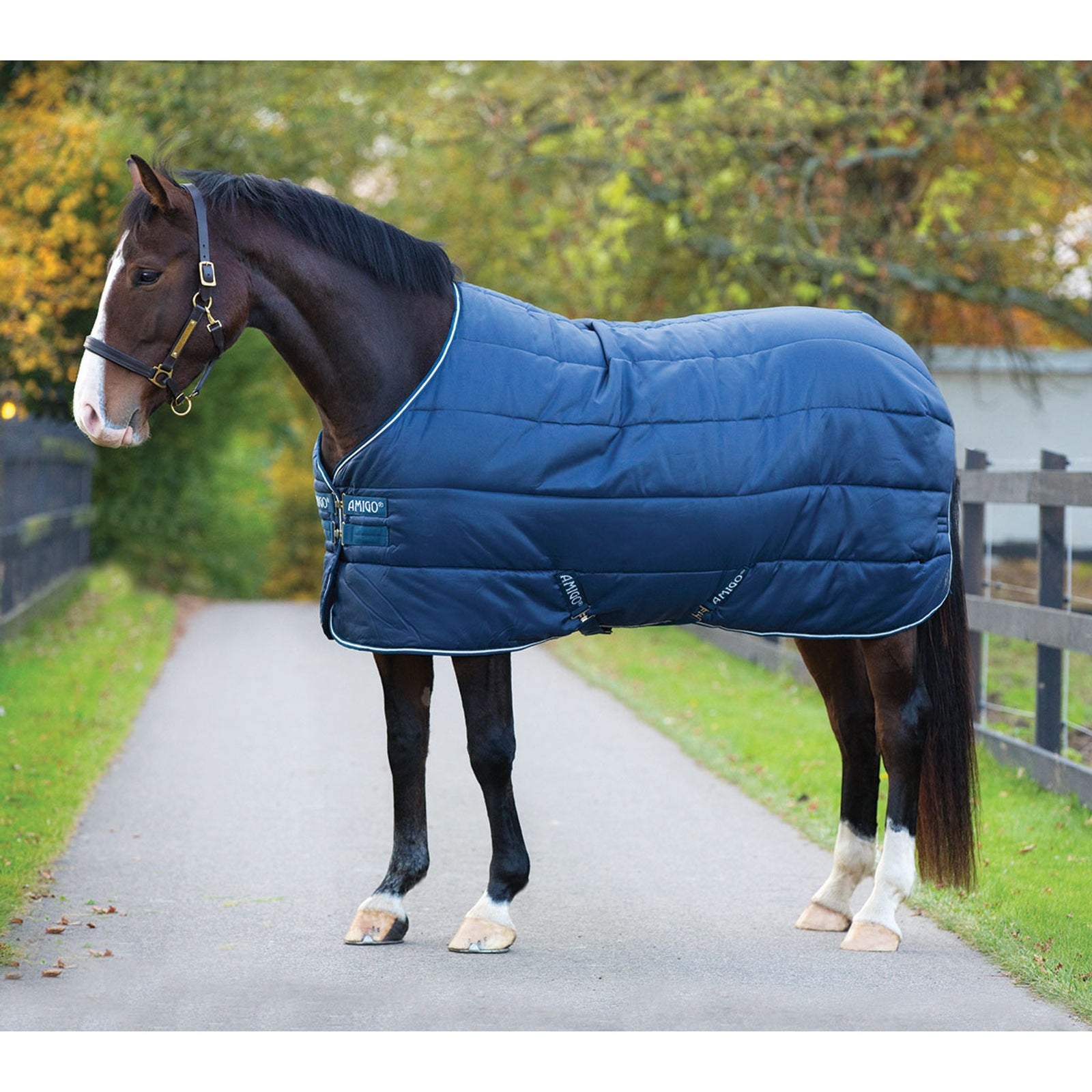 Horseware Amigo Insulator Stable Rug, 350g Horse Rugs
