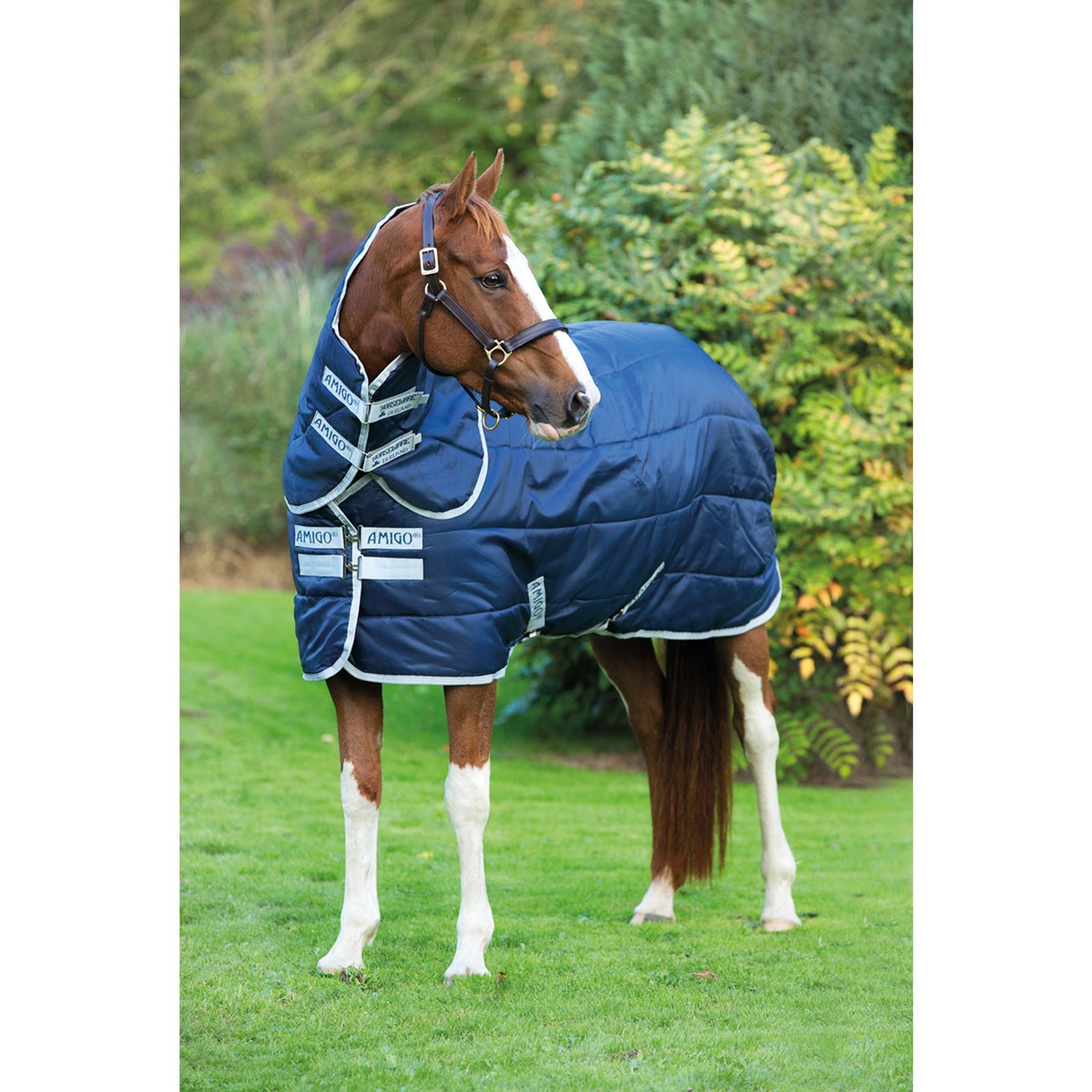 Horseware Amigo Insulator Plus Stable Rug With Detachable Neck, 200g Horse Rugs