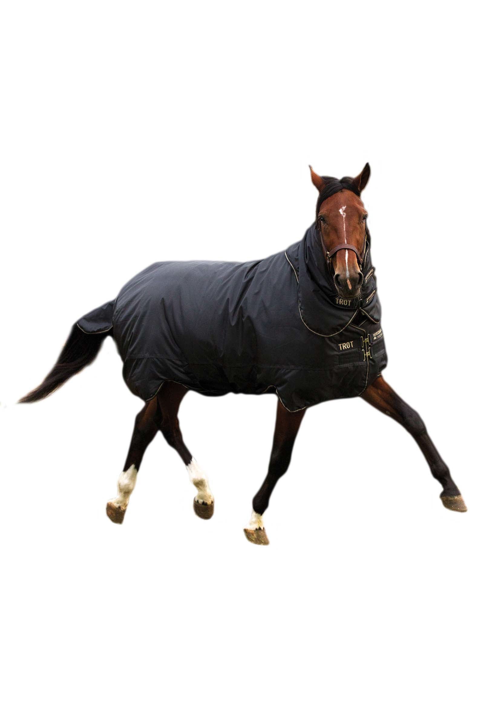 Horseware Trot Plus Utetäcke med avtagbart halstäcke, 350g Hästtäcken