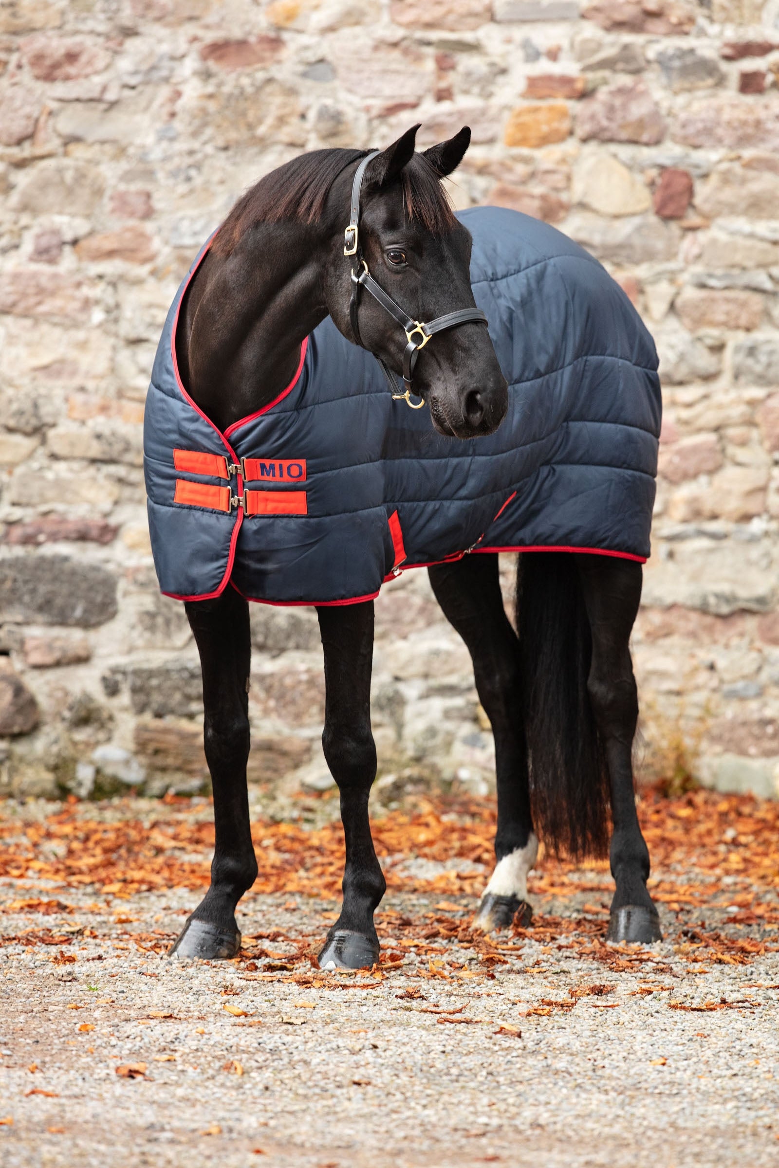 Horseware Mio Insulator Stable Rug, 150g Horse Rugs