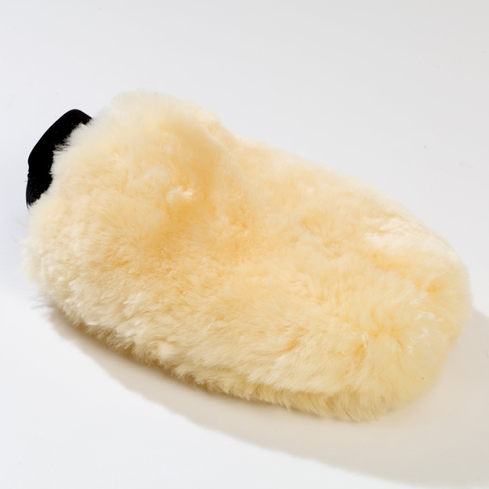 Kavalkade rykthandske Ryktning