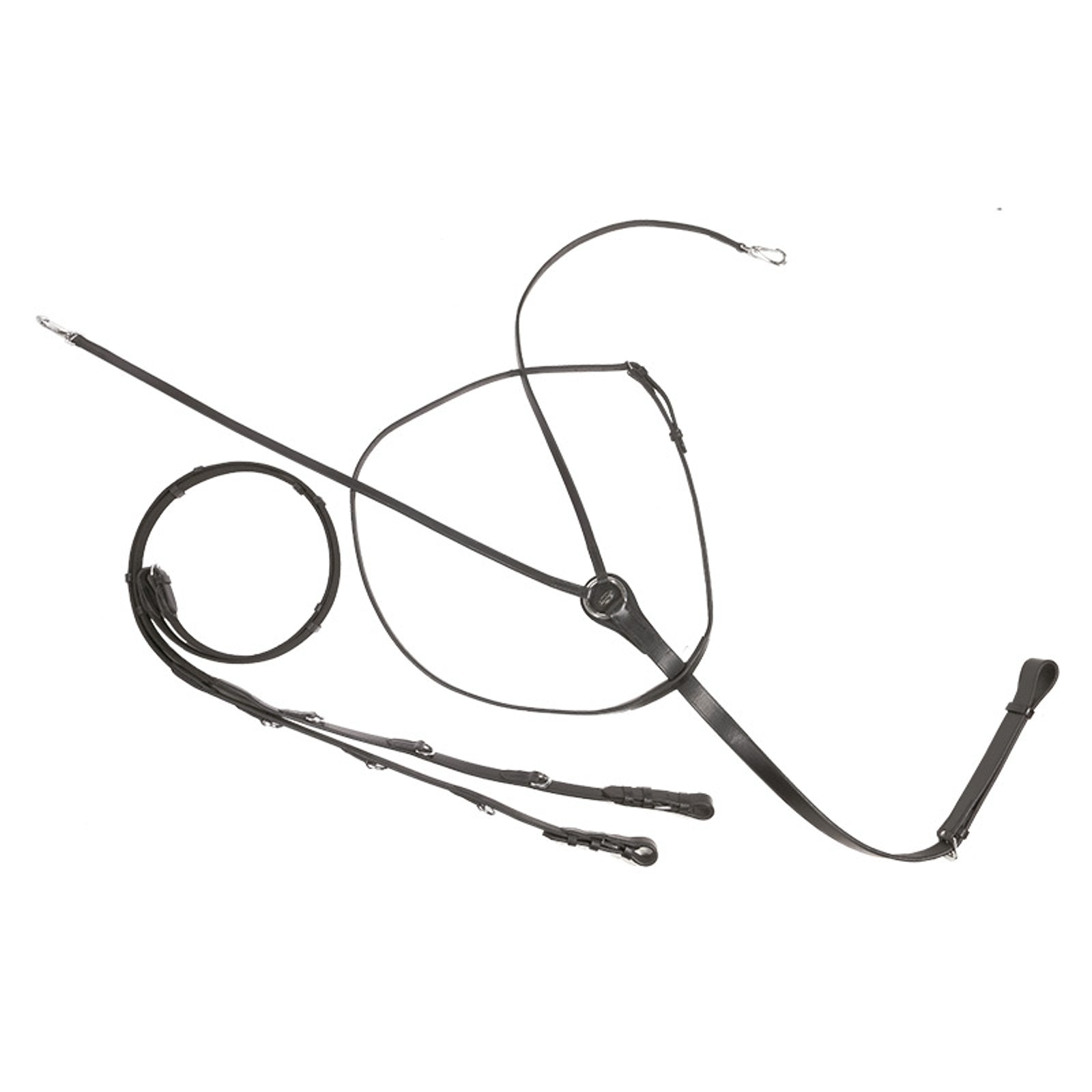 Kavalkade Market Harborough theidemantygel Träns & Tyglar