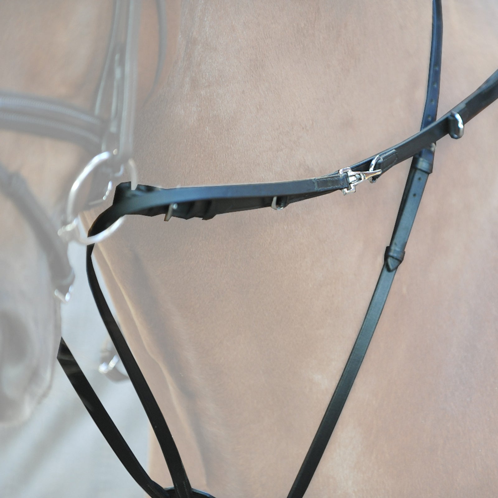 Kavalkade Market Harborough martingale Bridles & Reins