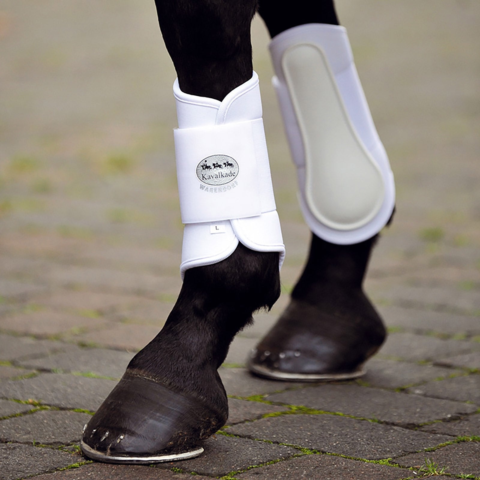 Kavalkade mjuka neoprenboots, bakben