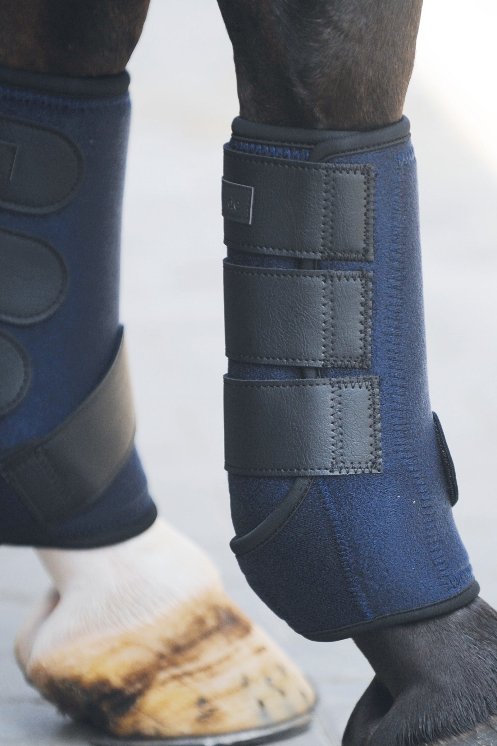 Kavalkade arbetsdamask, neopren Leg Protection & Hoof Protection for Horses