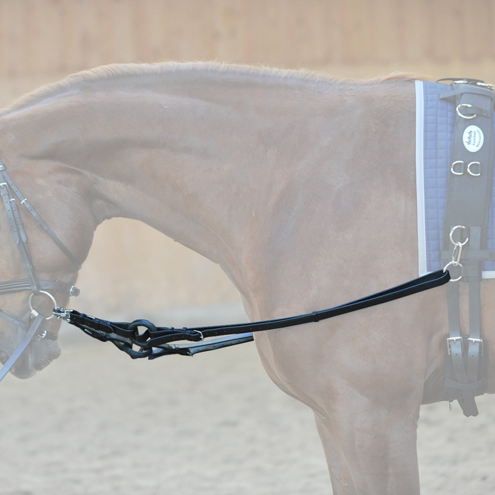 Kavalkade inspänningstyglar Träns & Tyglar