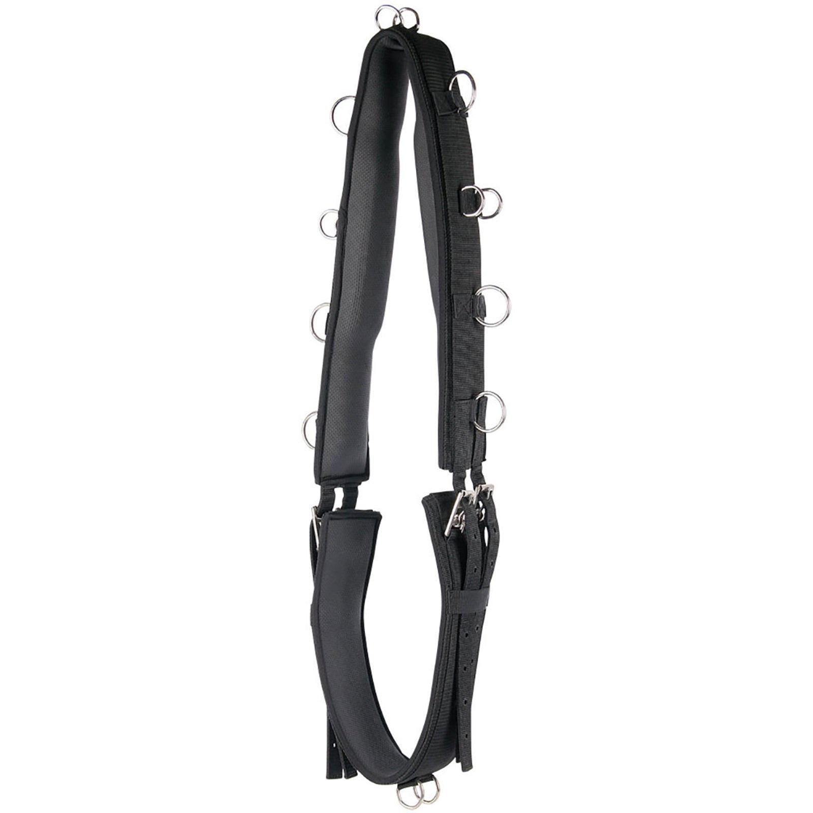 Harry's Horse longergjord luxe Träning & longering