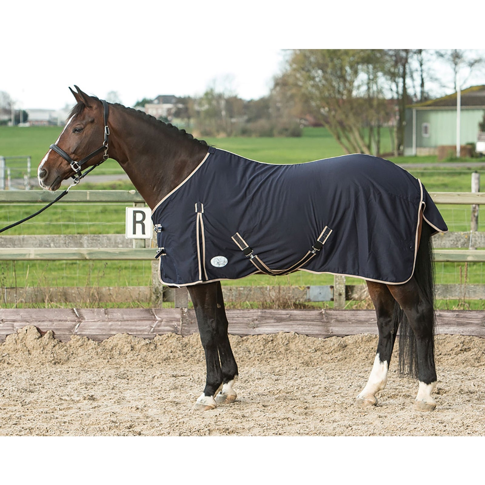 Harry's Horse sommartäcke Honeycomb Hästtäcken