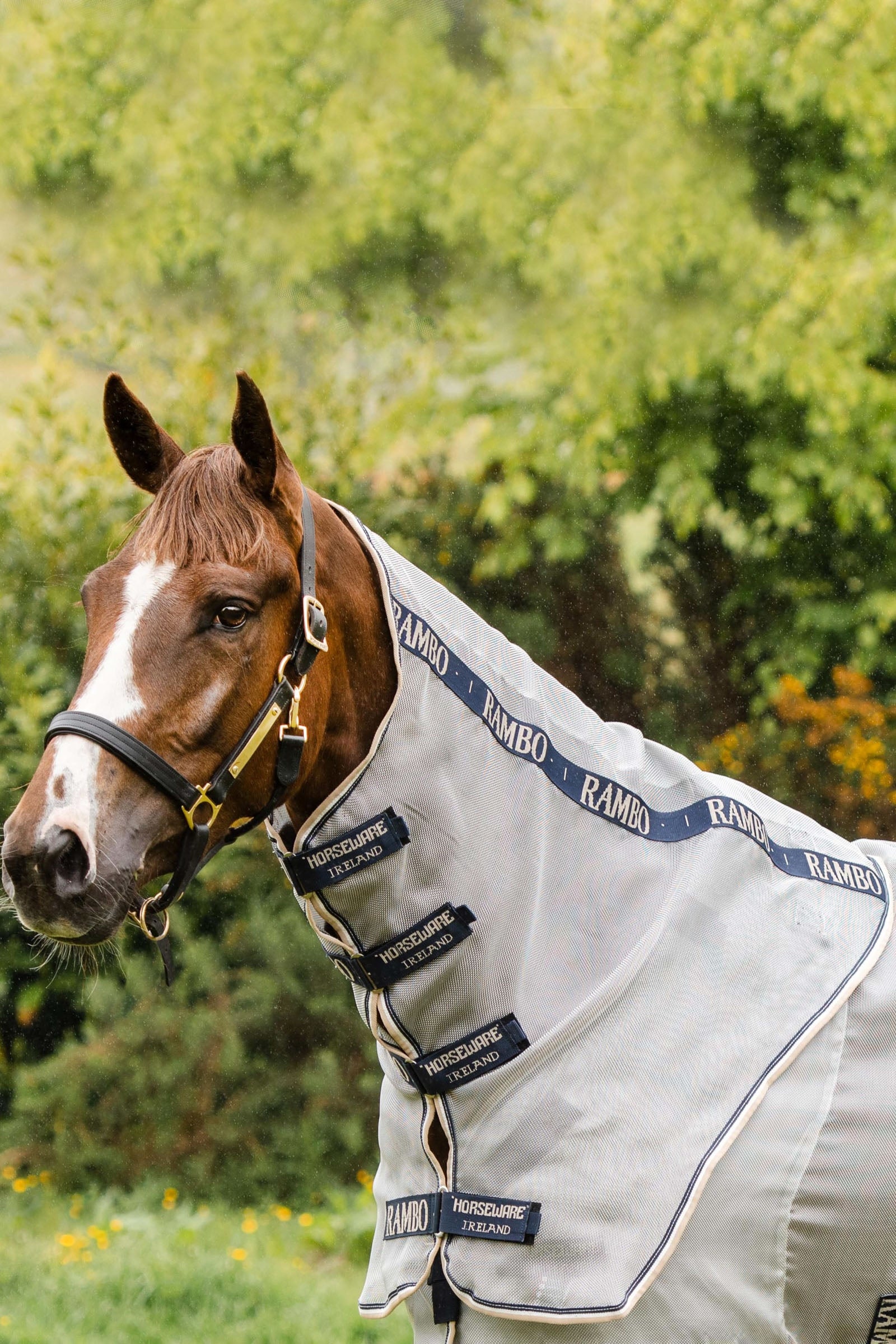 Horseware Rambo Protector hals Hästtäcken