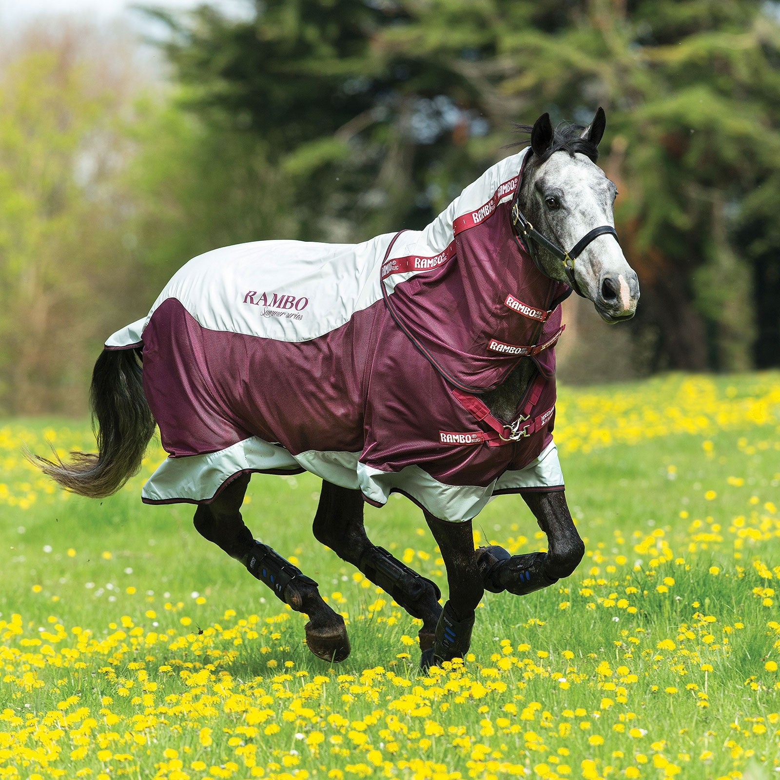 Horseware Rambo Summer Series Turnout Rug With Liner (0g / 100g) and Detachable Neck Horse Rugs