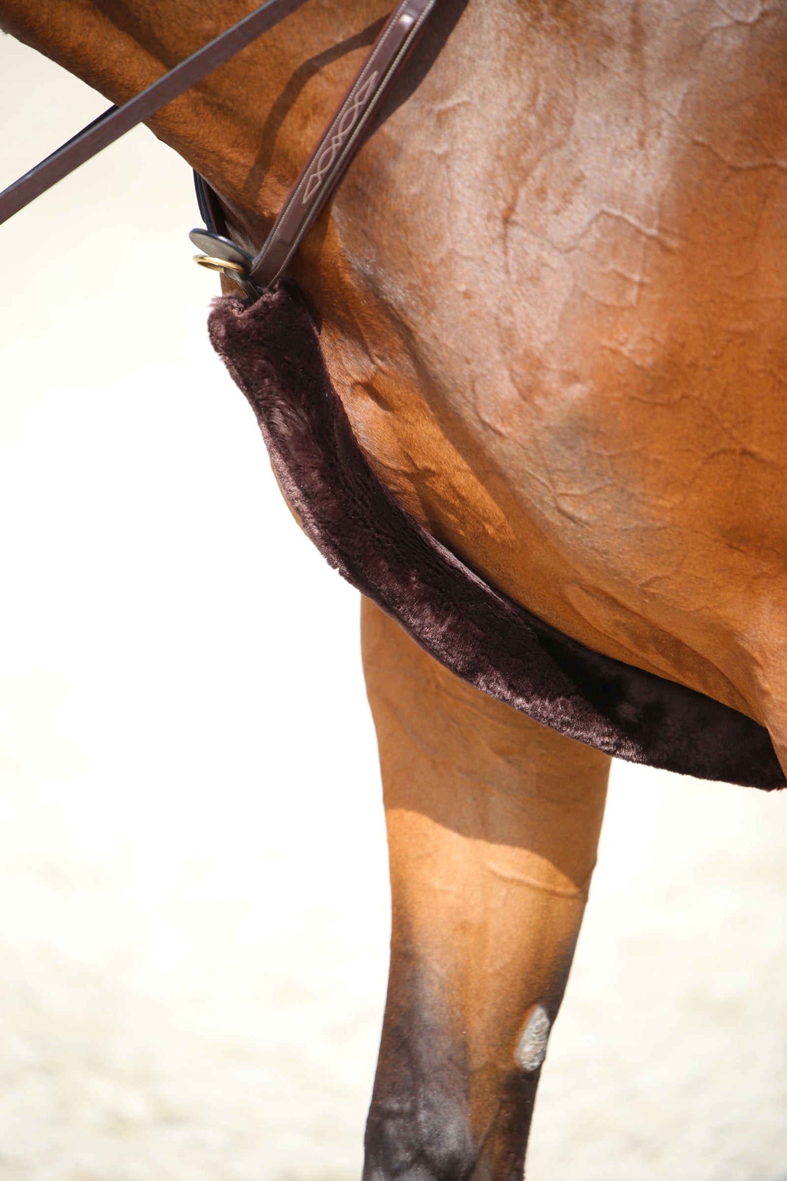 Kentucky Horsewear fårskinnsludd till brösta Träns & Tyglar