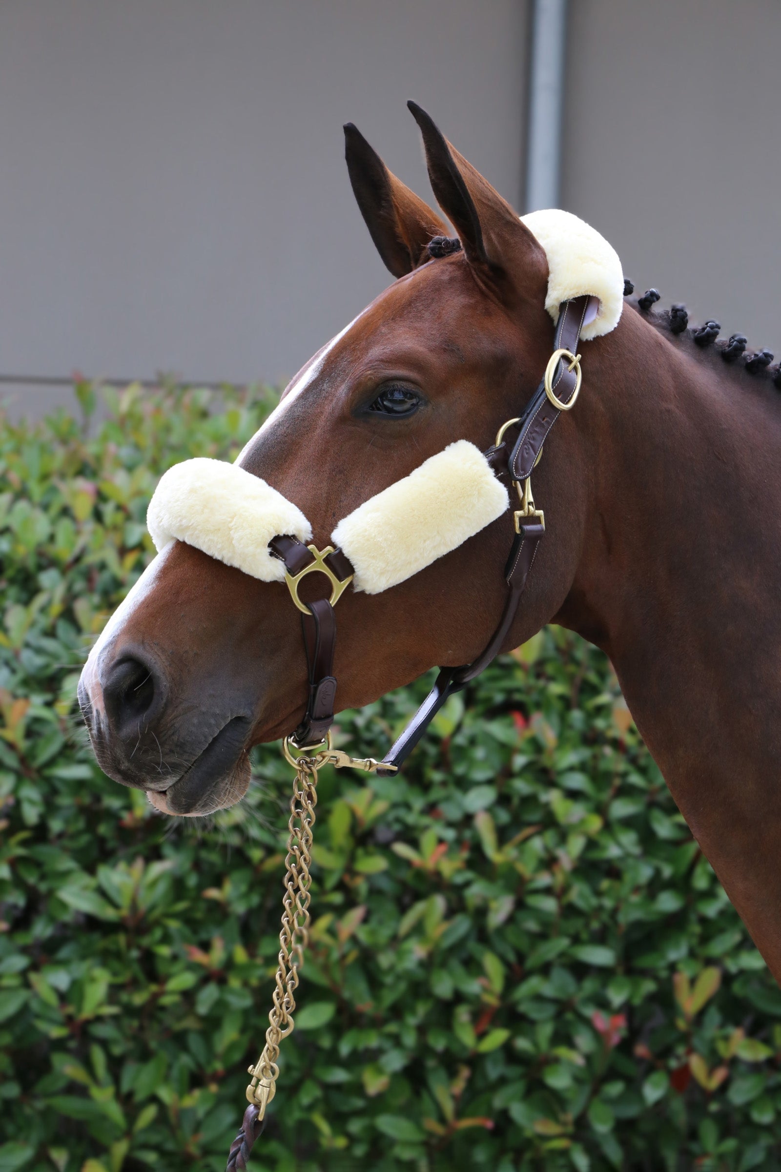 Kentucky Horsewear Sheepskin Halter Set 4 pcs Halters & Leads