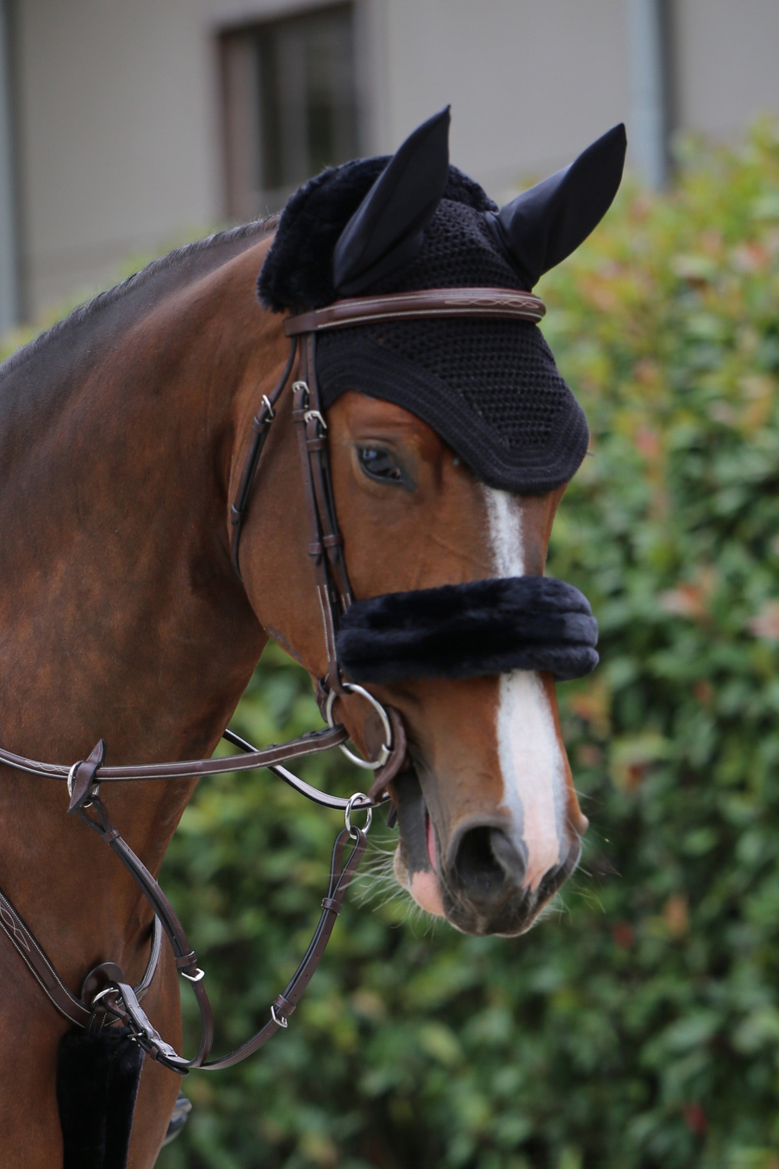 Kentucky Horsewear fårskinn till nosgrimma Träns & Tyglar