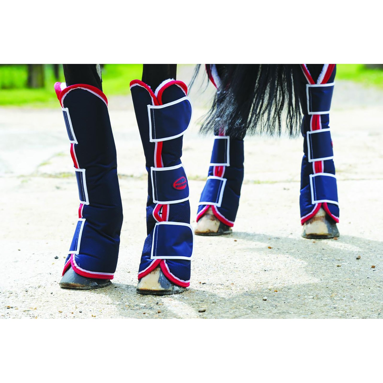 Weatherbeeta WeatherBeeta Wide Tab Long transportskydd Leg Protection & Hoof Protection for Horses