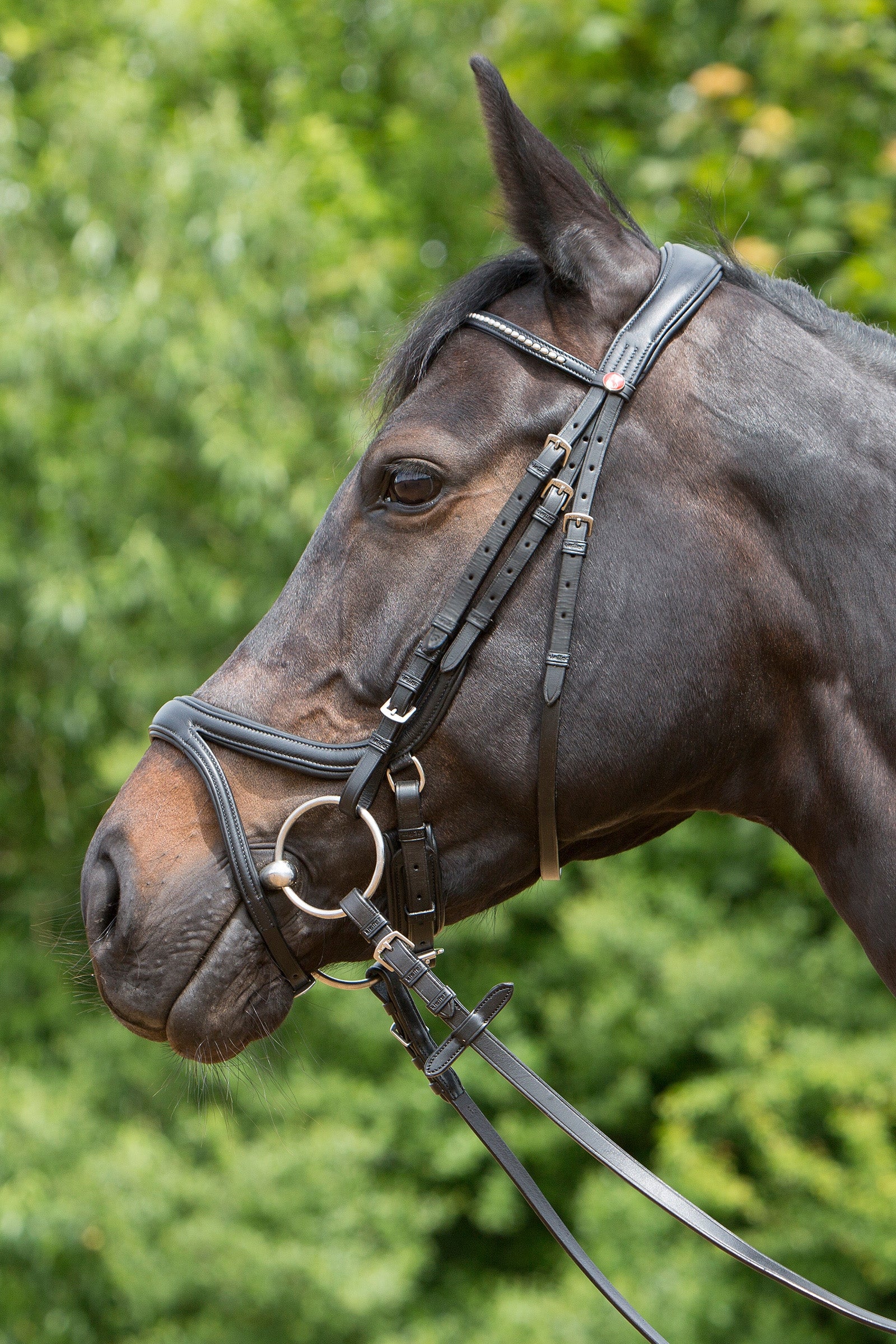 Kieffer Ultrasoft® Tara Bridle Träns & Tyglar